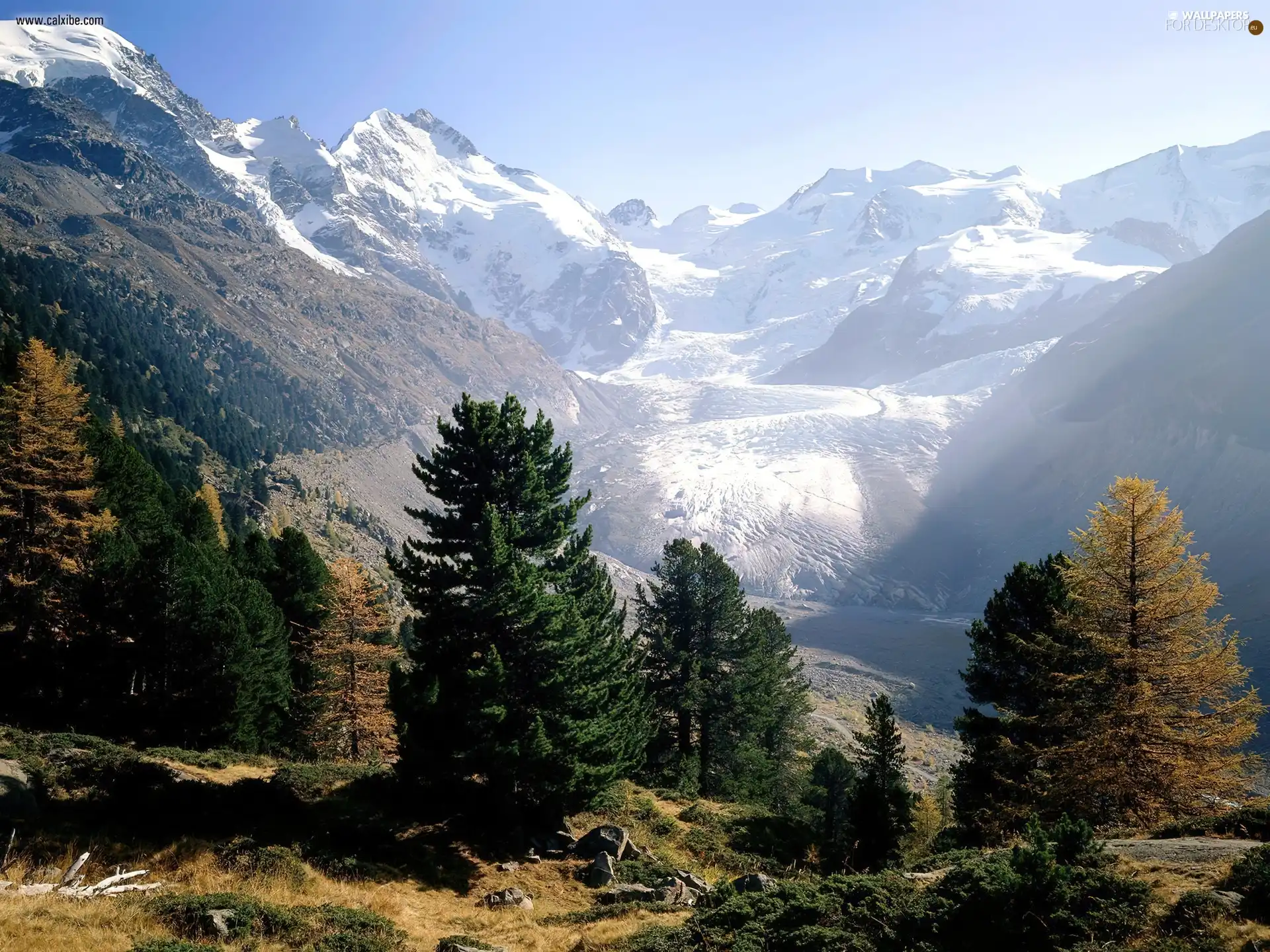 Snowy, Engadine, trees, viewes, Mountains, Switzerland