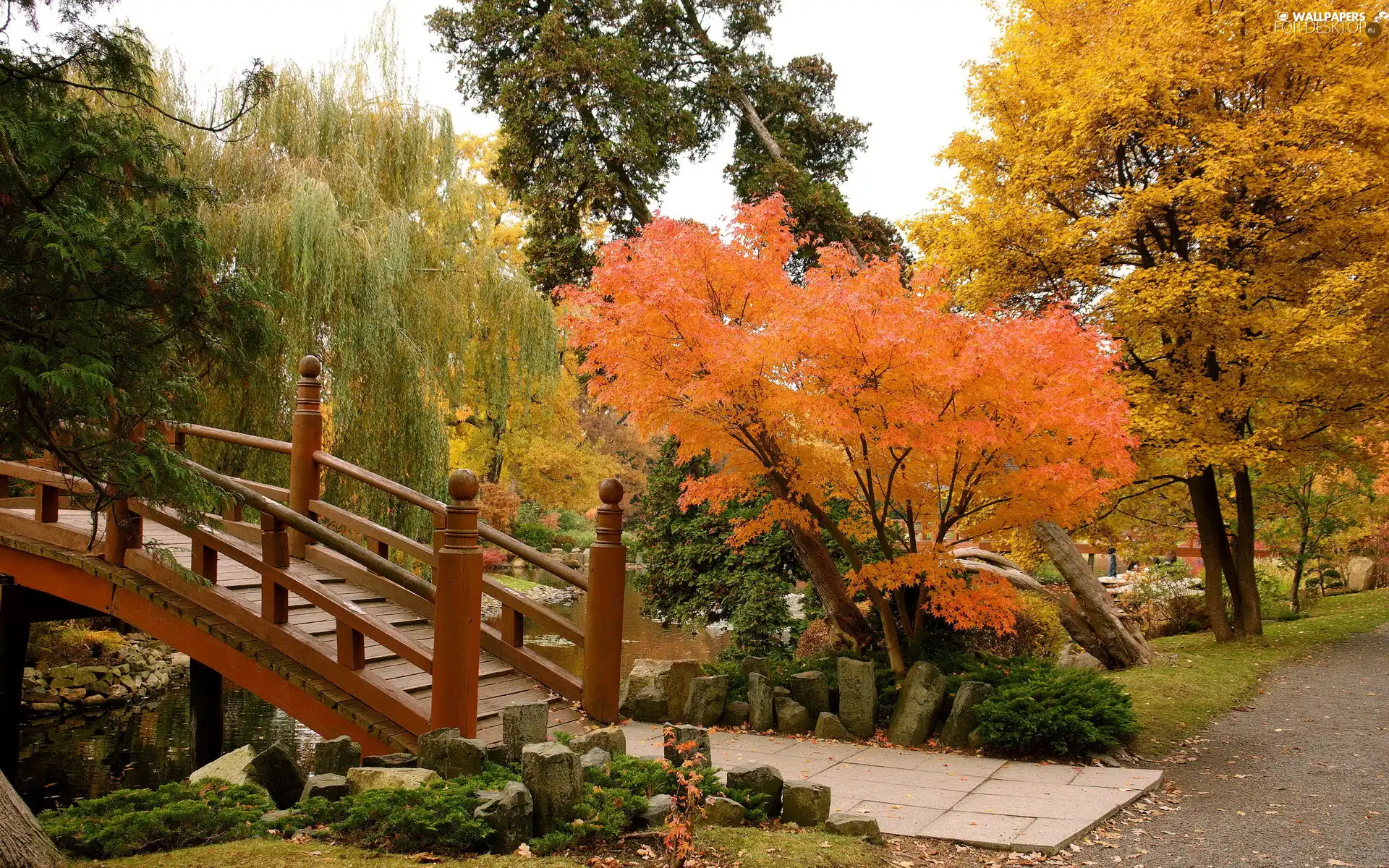 trees, viewes, bridges, Autumn, Park