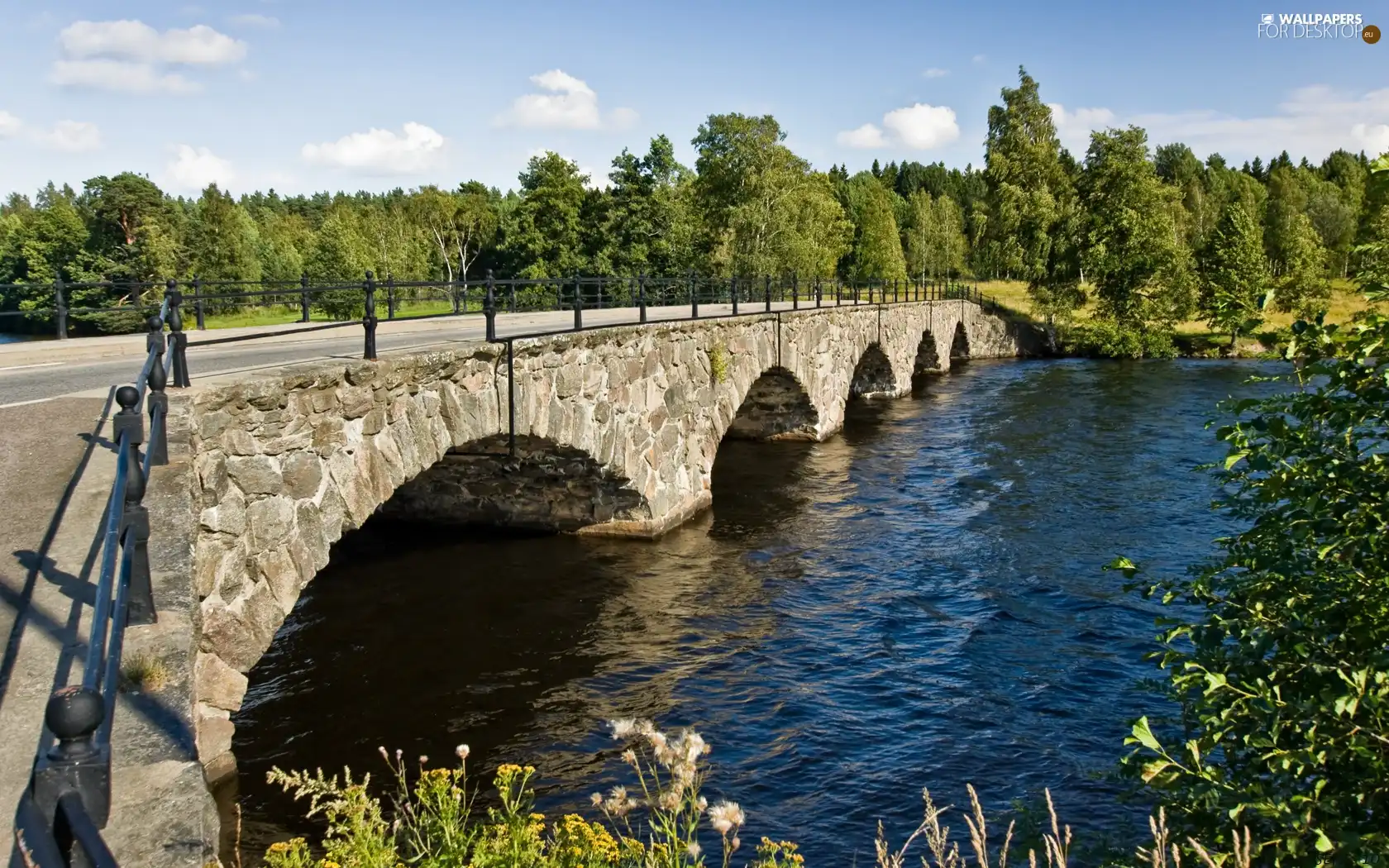 trees, viewes, stone, bridge, River