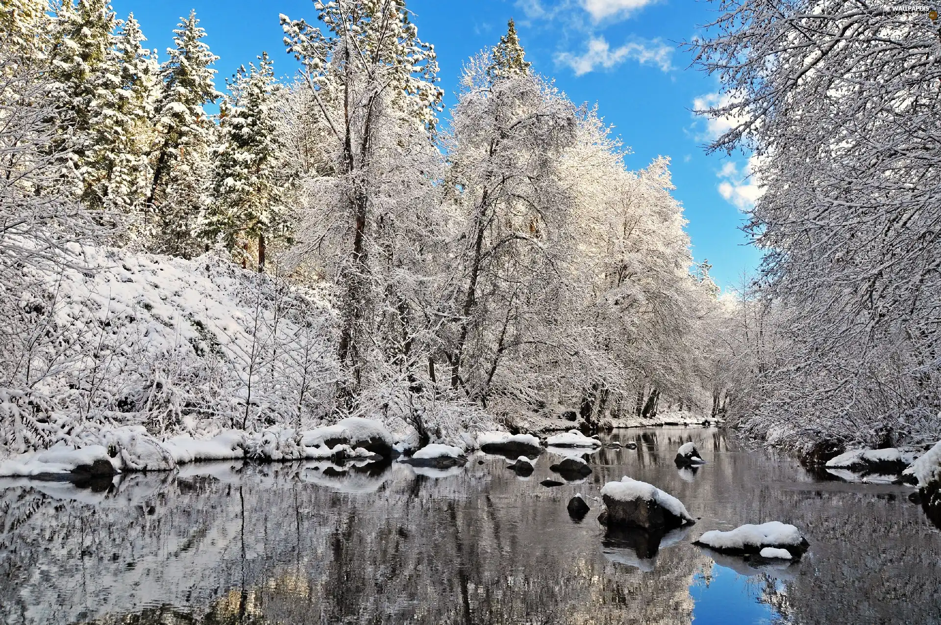 trees, viewes, forest, Snowy, River