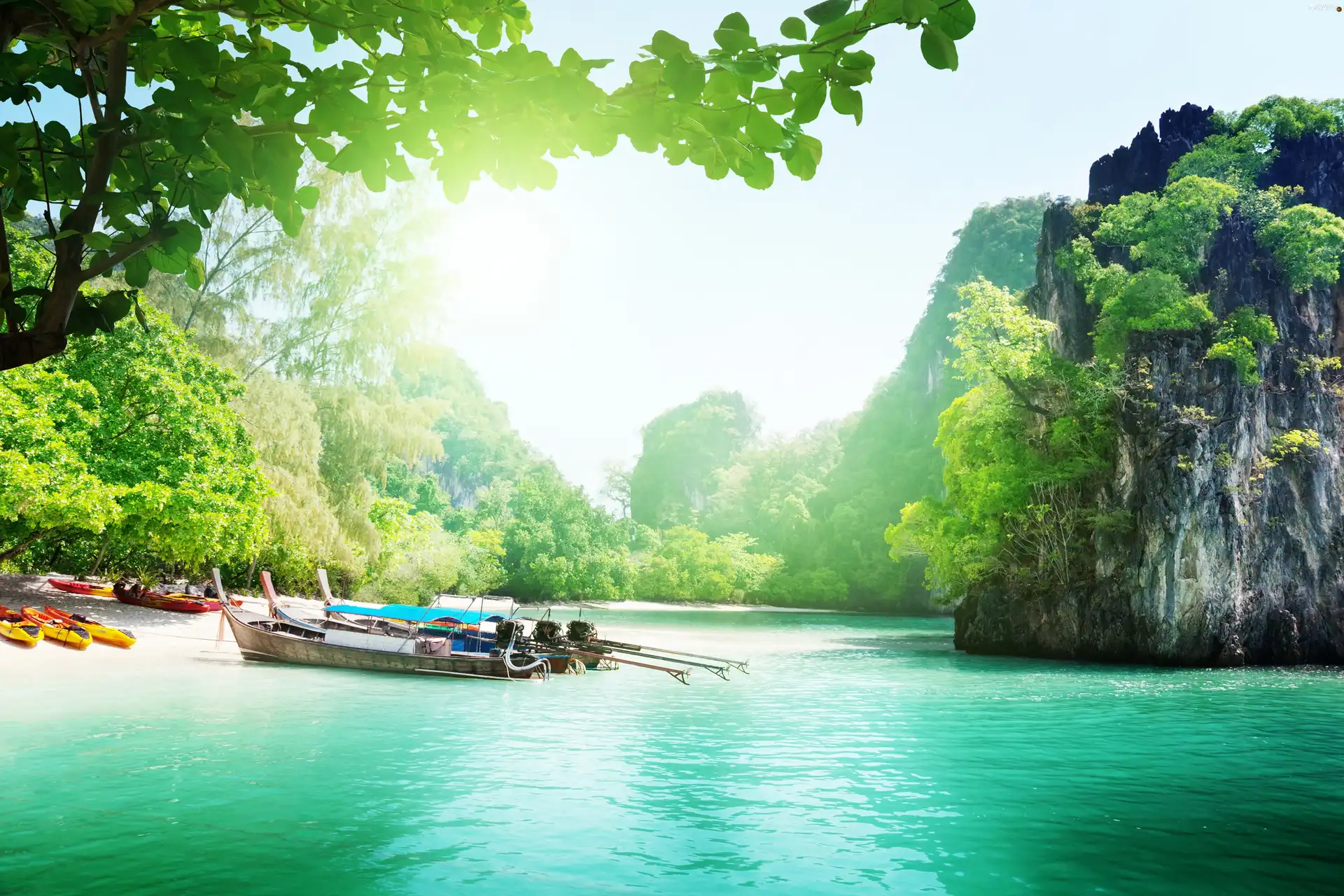 trees, viewes, Kayaks, VEGETATION, River