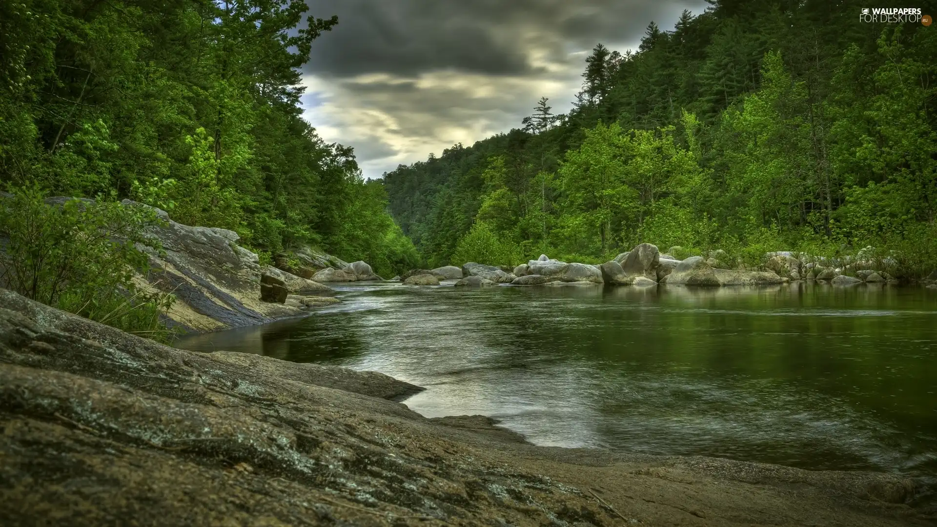 trees, viewes, Stones, woods, River