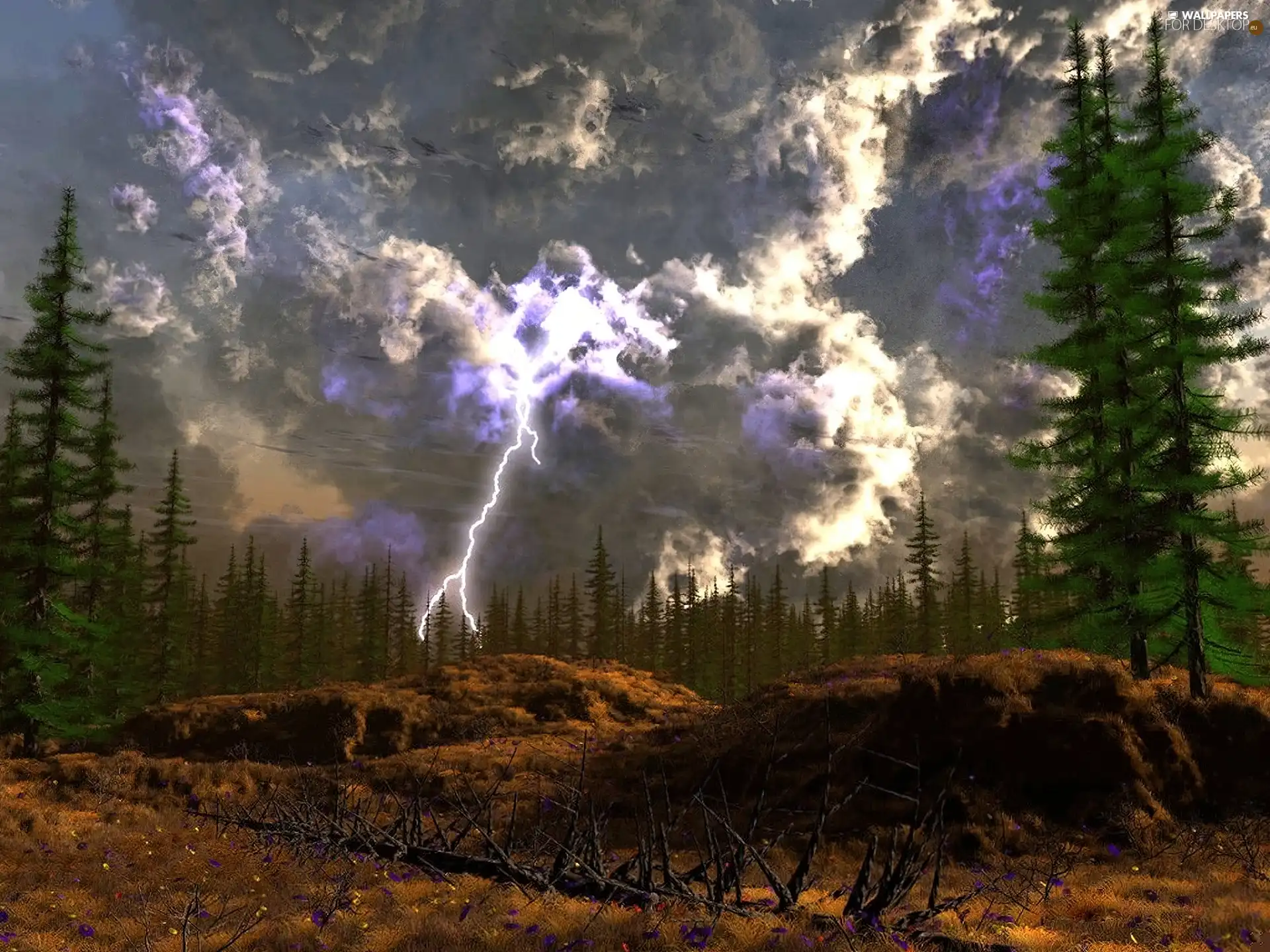 trees, viewes, lightning, high, Sky