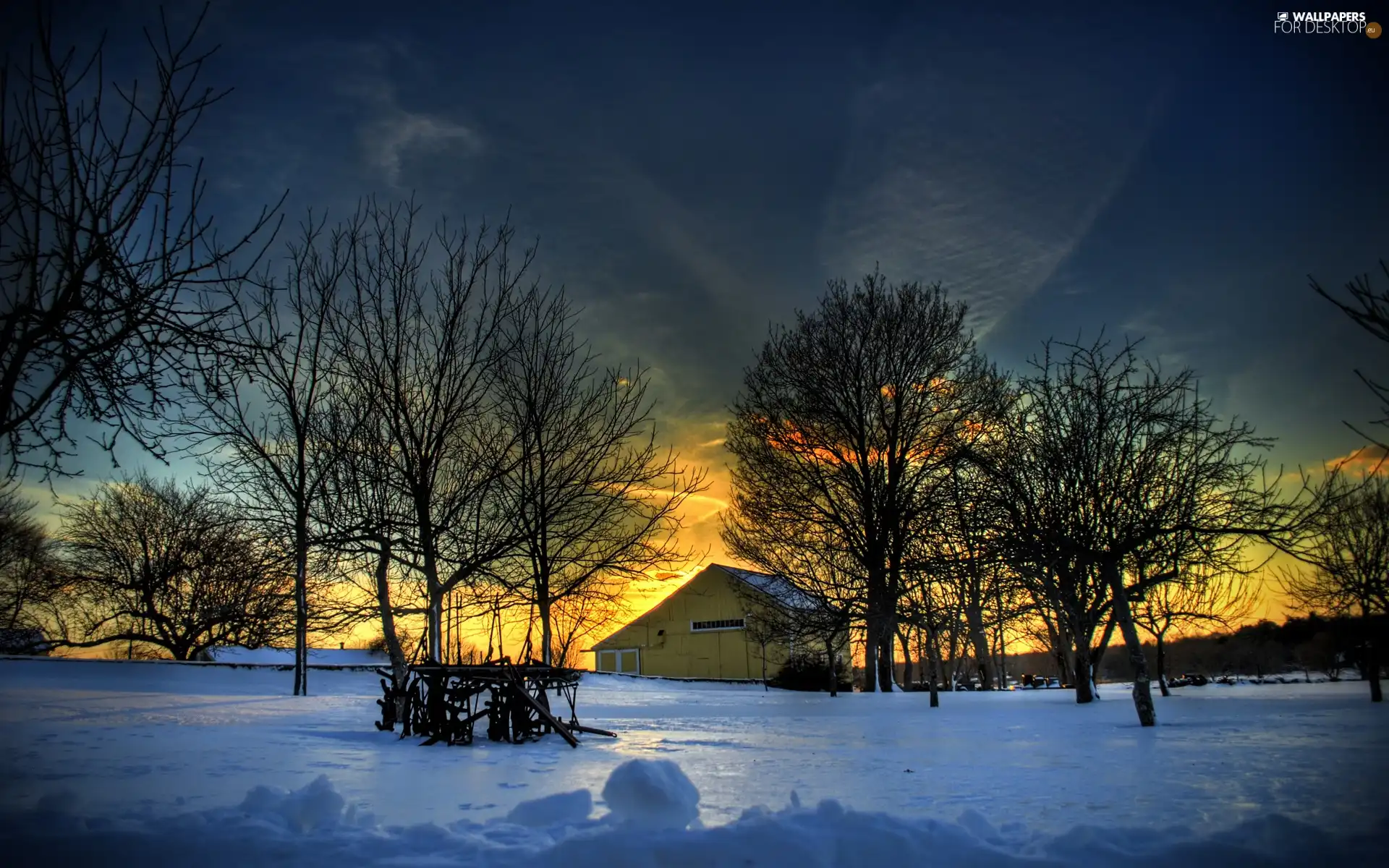 west, winter, trees, viewes, sun, snow