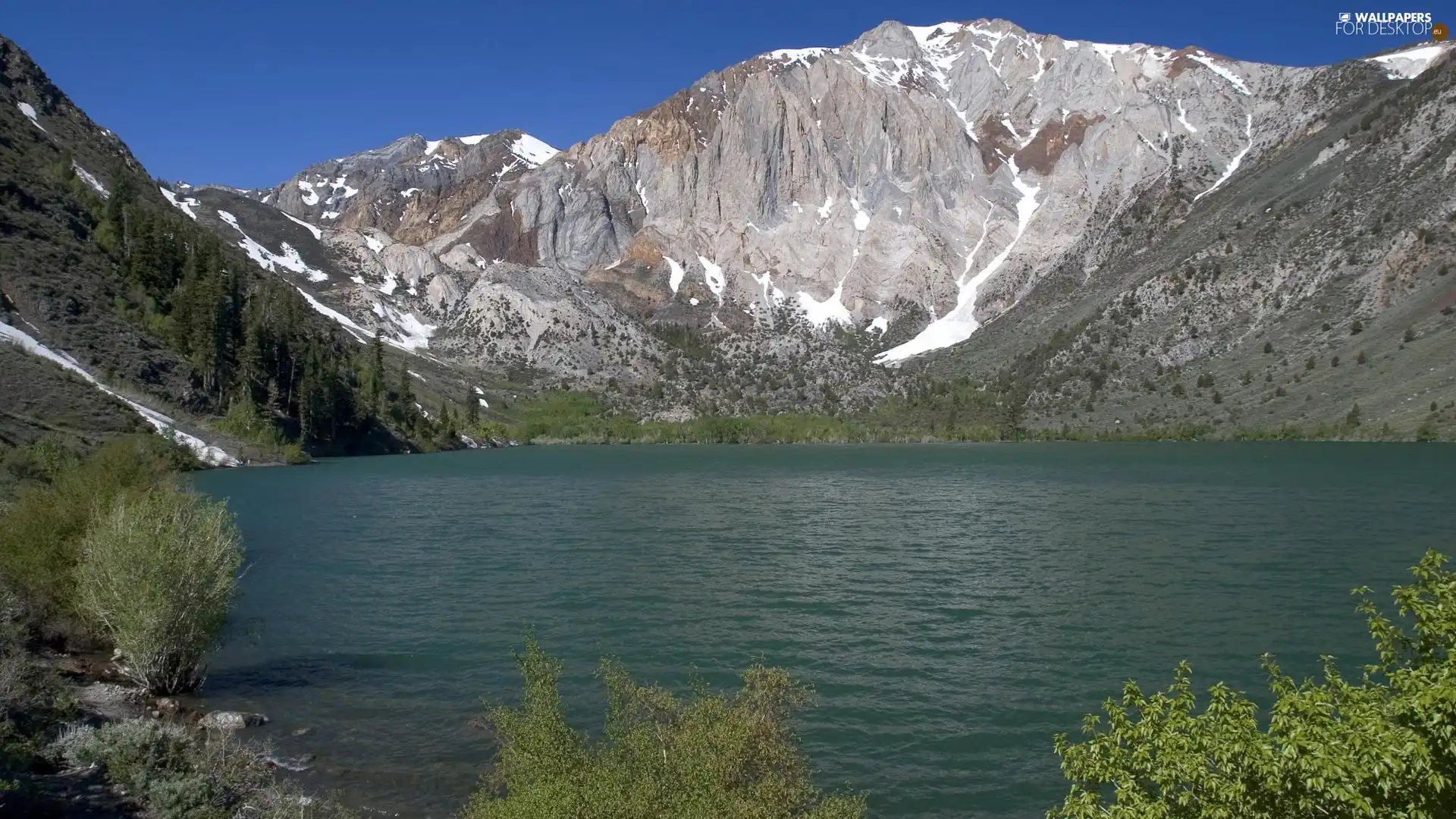 trees, viewes, Mountains, snow, water