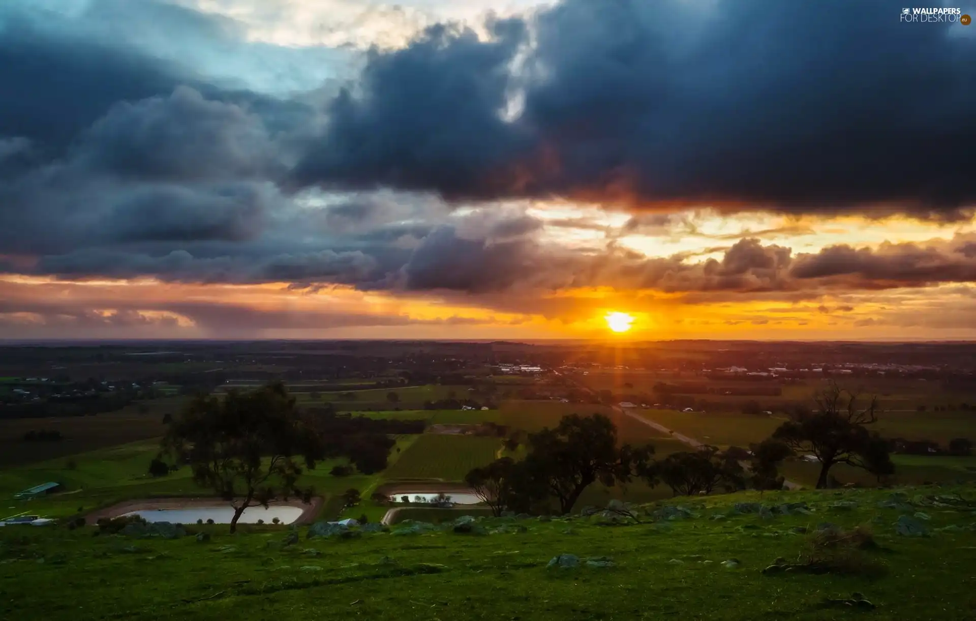 trees, viewes, sun, clouds, west