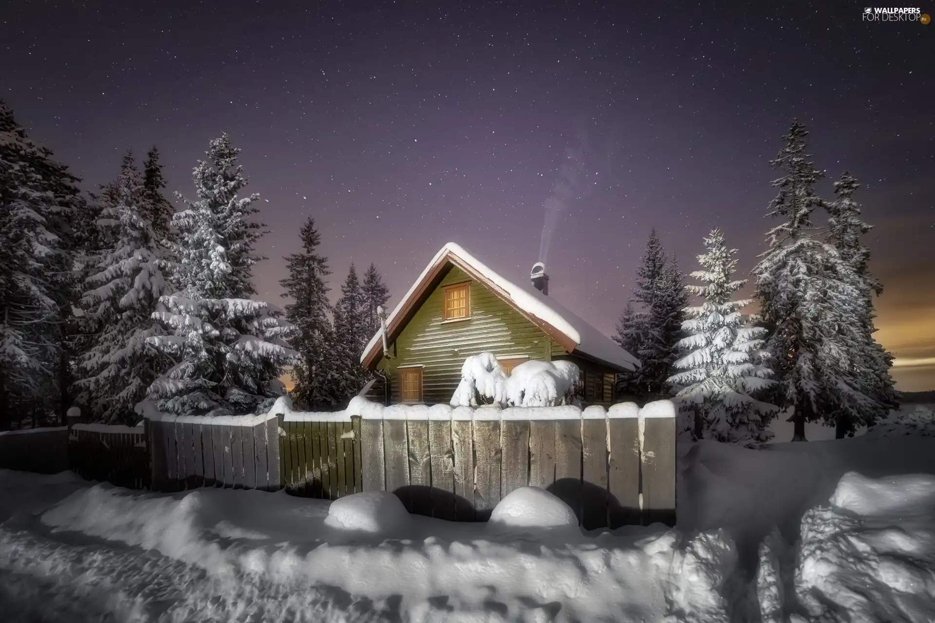 trees, viewes, house, Night, winter