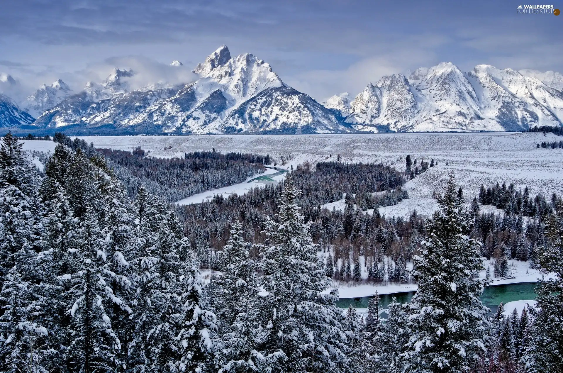 trees, viewes, Mountains, River, winter