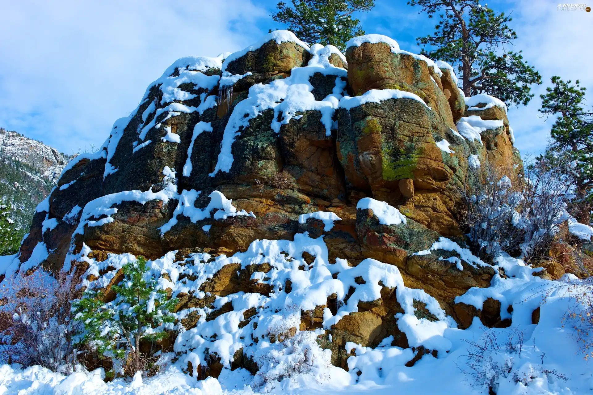 trees, viewes, rocks, snow, winter