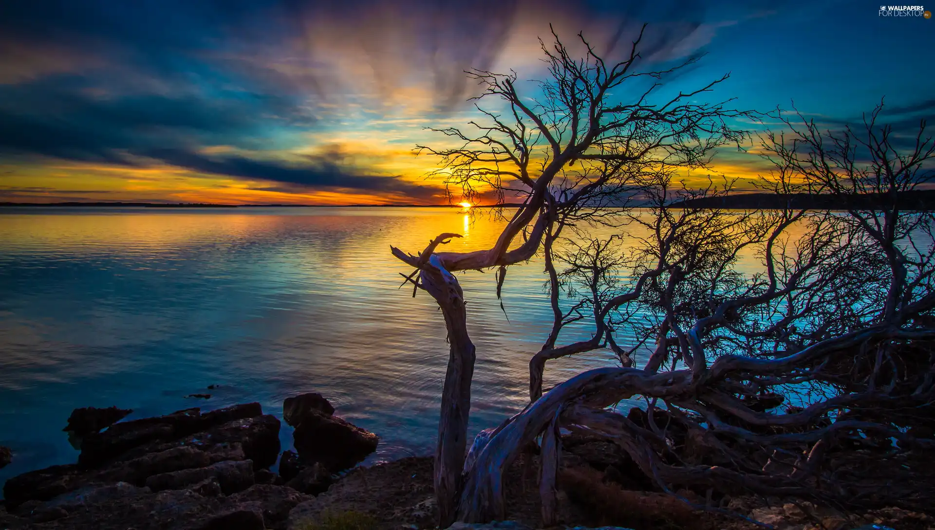 west, sea, trees, sun