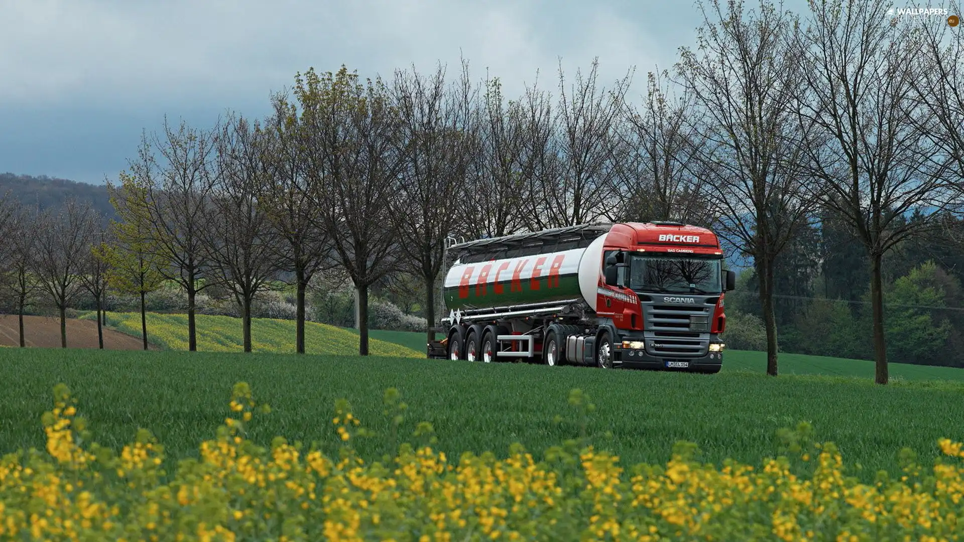 trees, Front Truck, Yellow, Flowers, viewes, Cistern