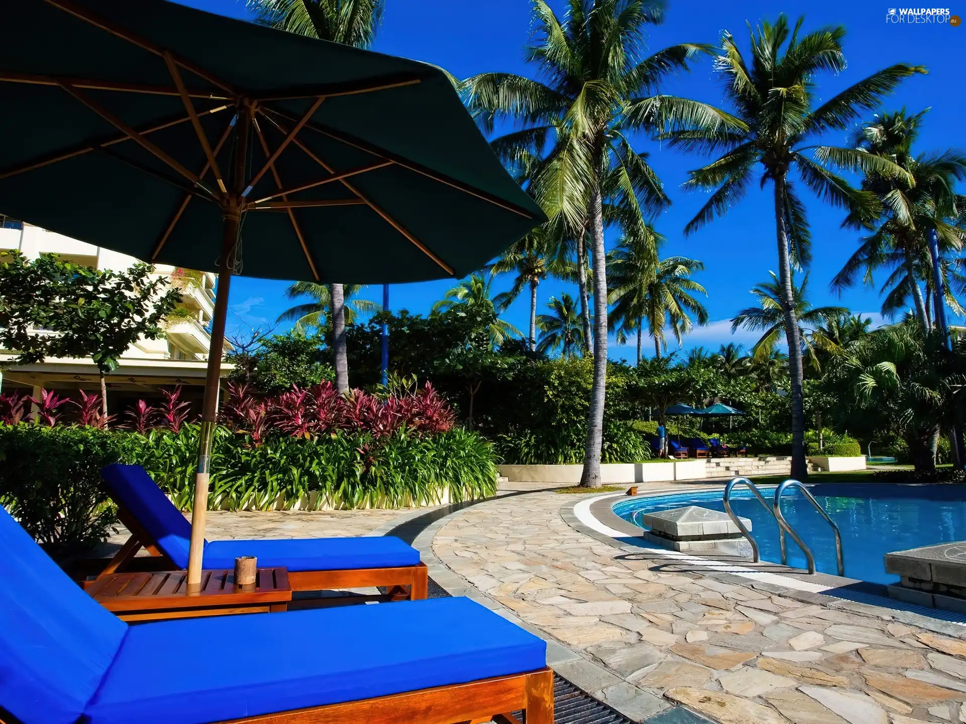 Hotel hall, relaxation, tropic, Pool