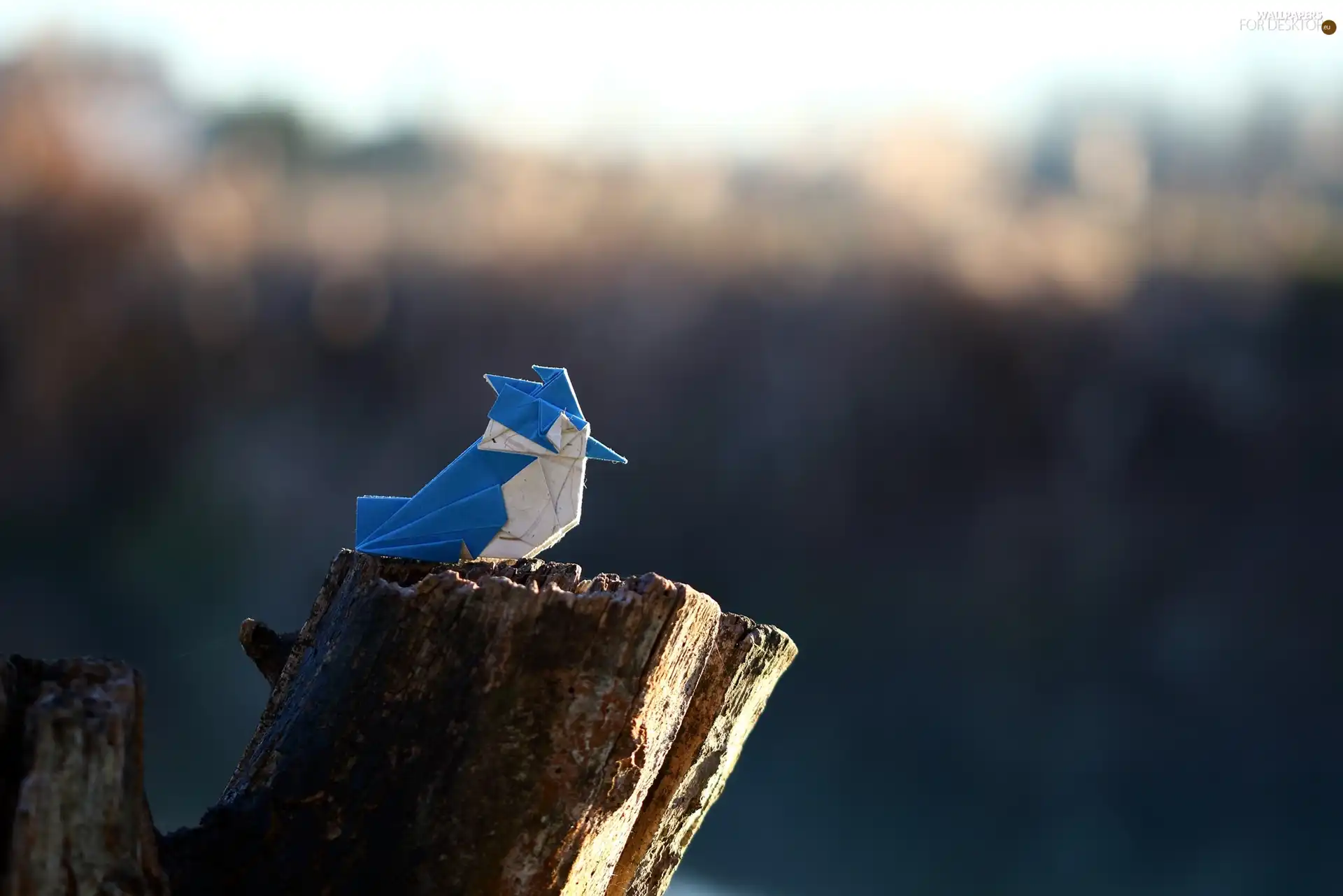 trunk, Origami, birdies