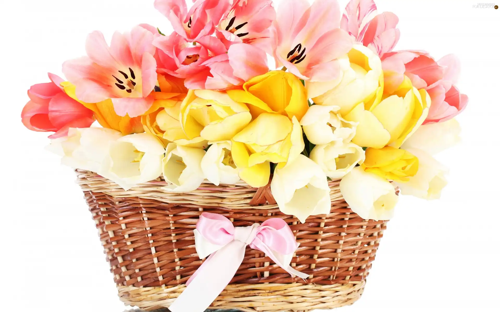 basket, tulips