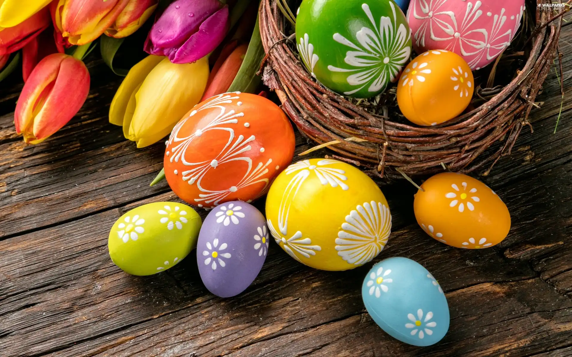 Tulips, composition, eggs, eggs, Easter