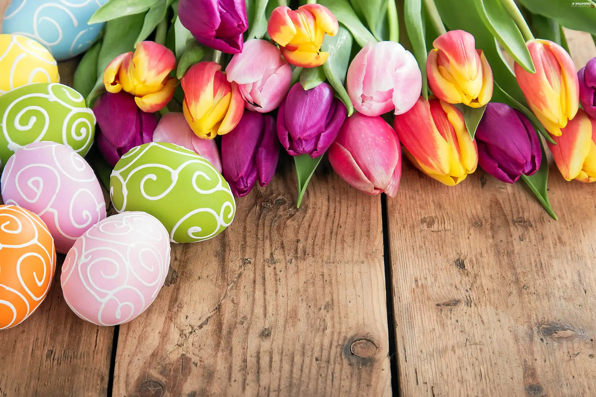 composition, eggs, Tulips, Easter