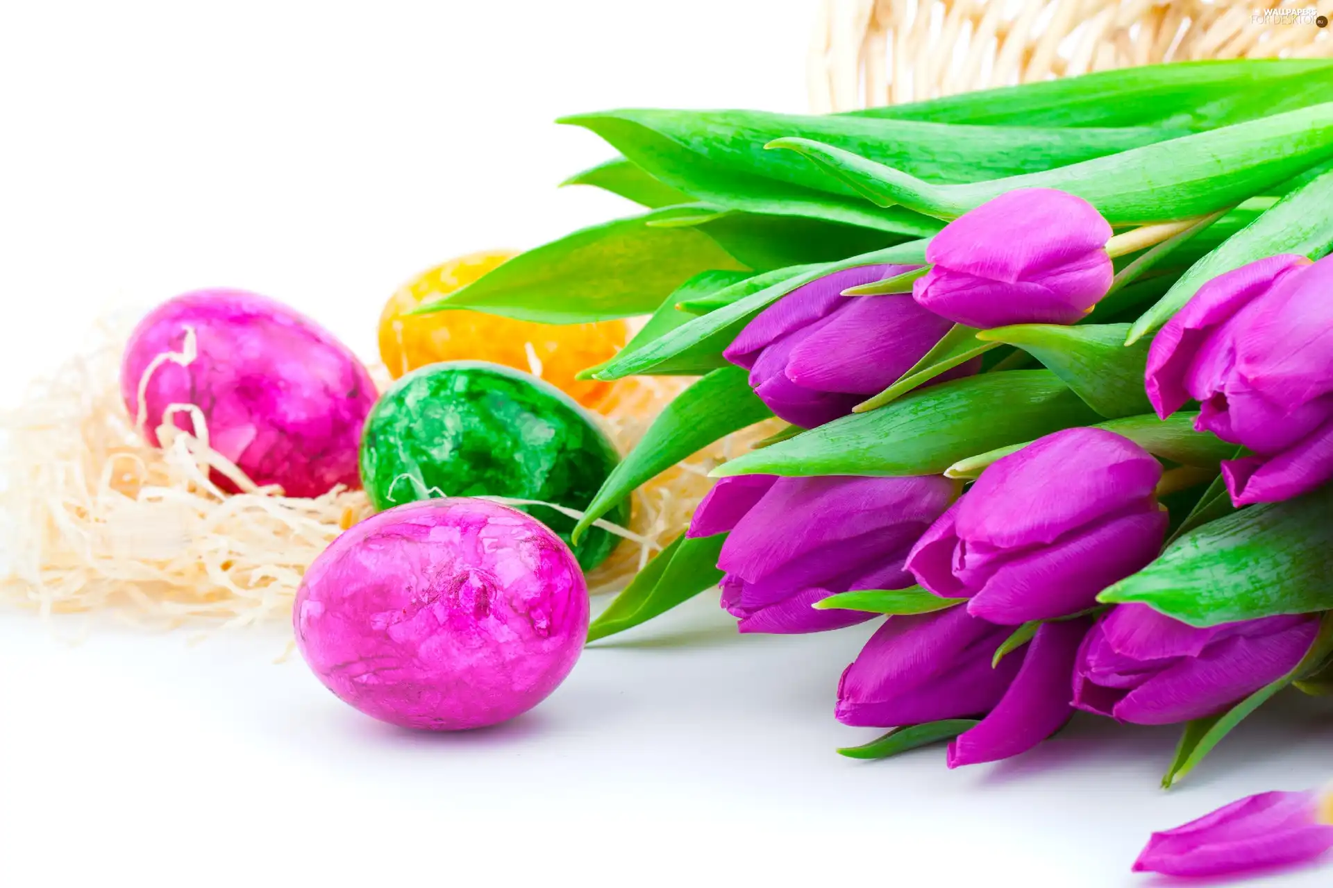 Tulips, Easter, eggs