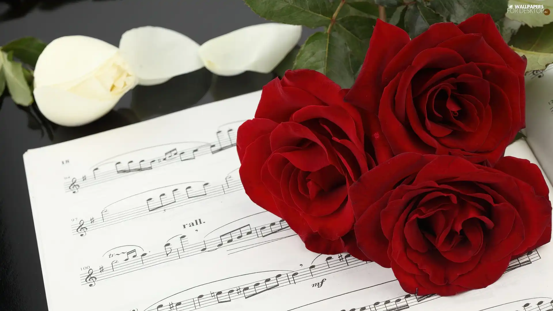 Tunes, Red, roses