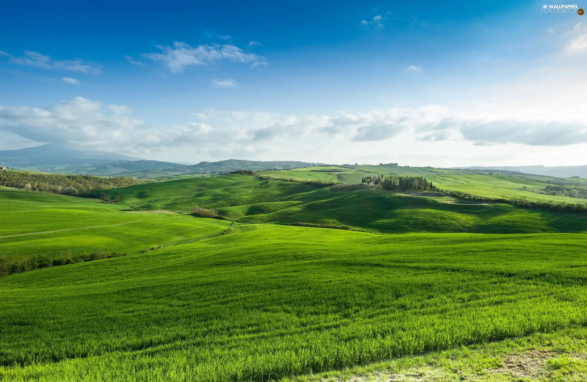 roads, medows, Tuscany, Italy, vineyards, Mountains