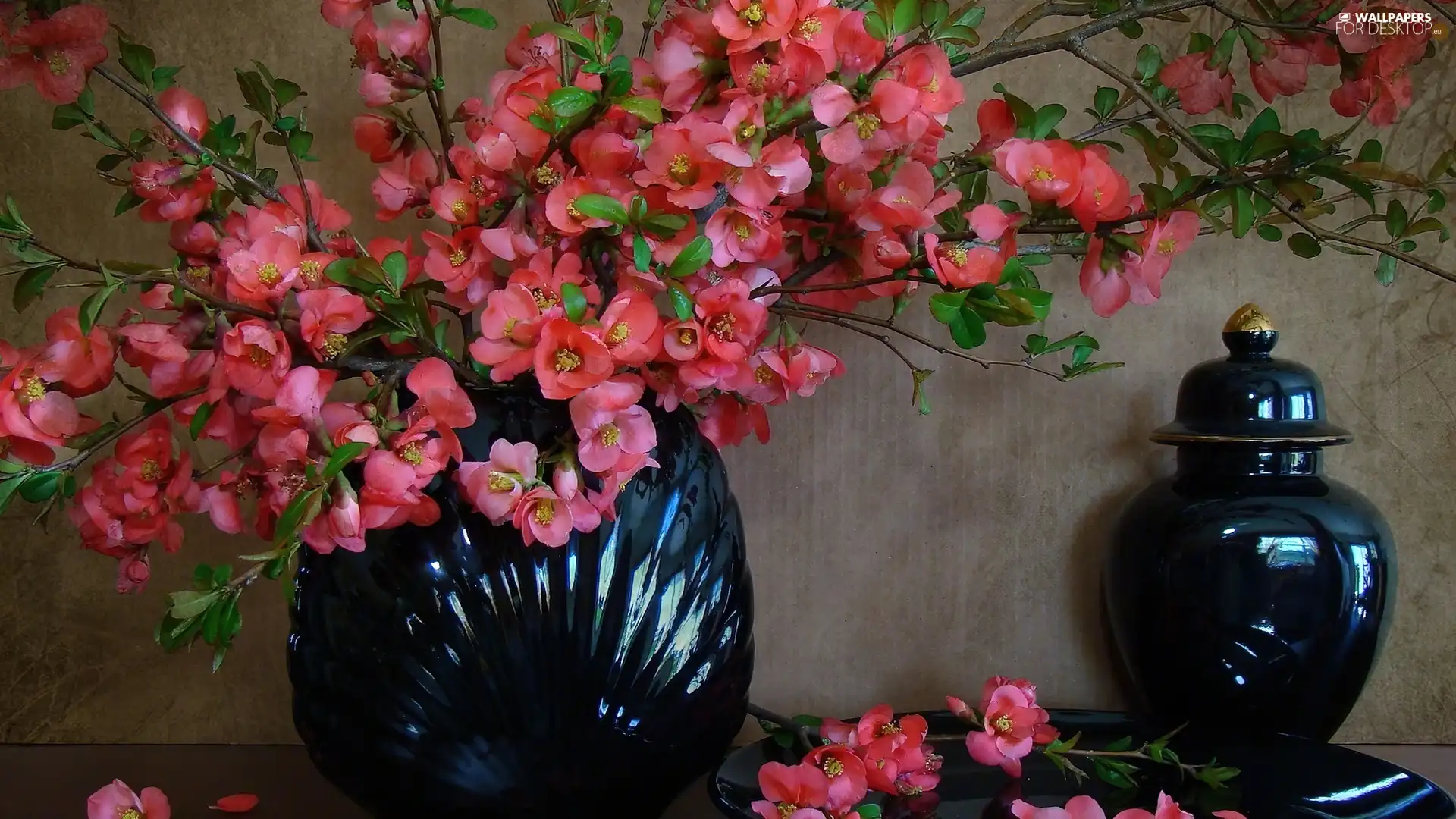 Twigs, pottery, pink, flowers, bouquet