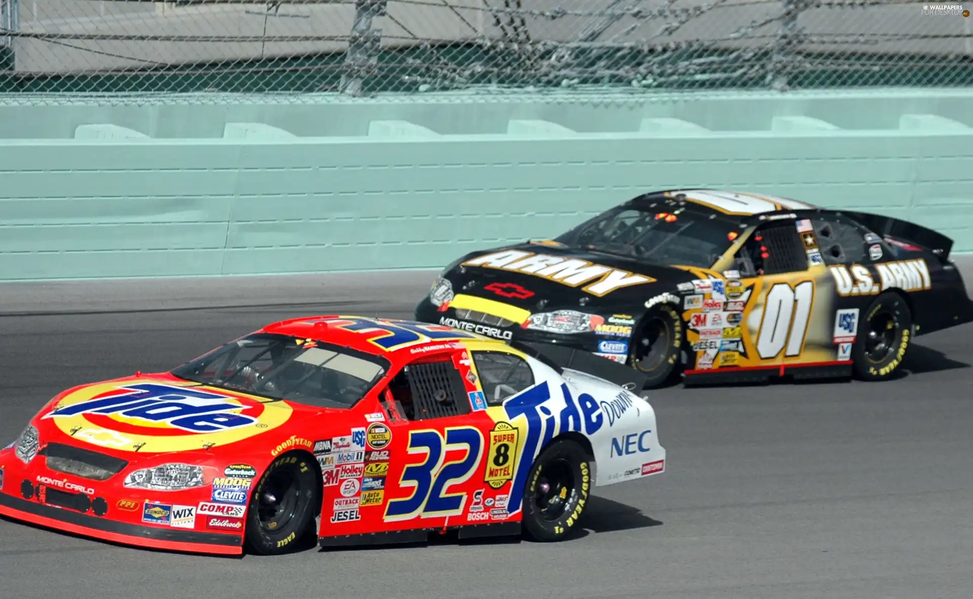 Automobile, Nascar, Two cars