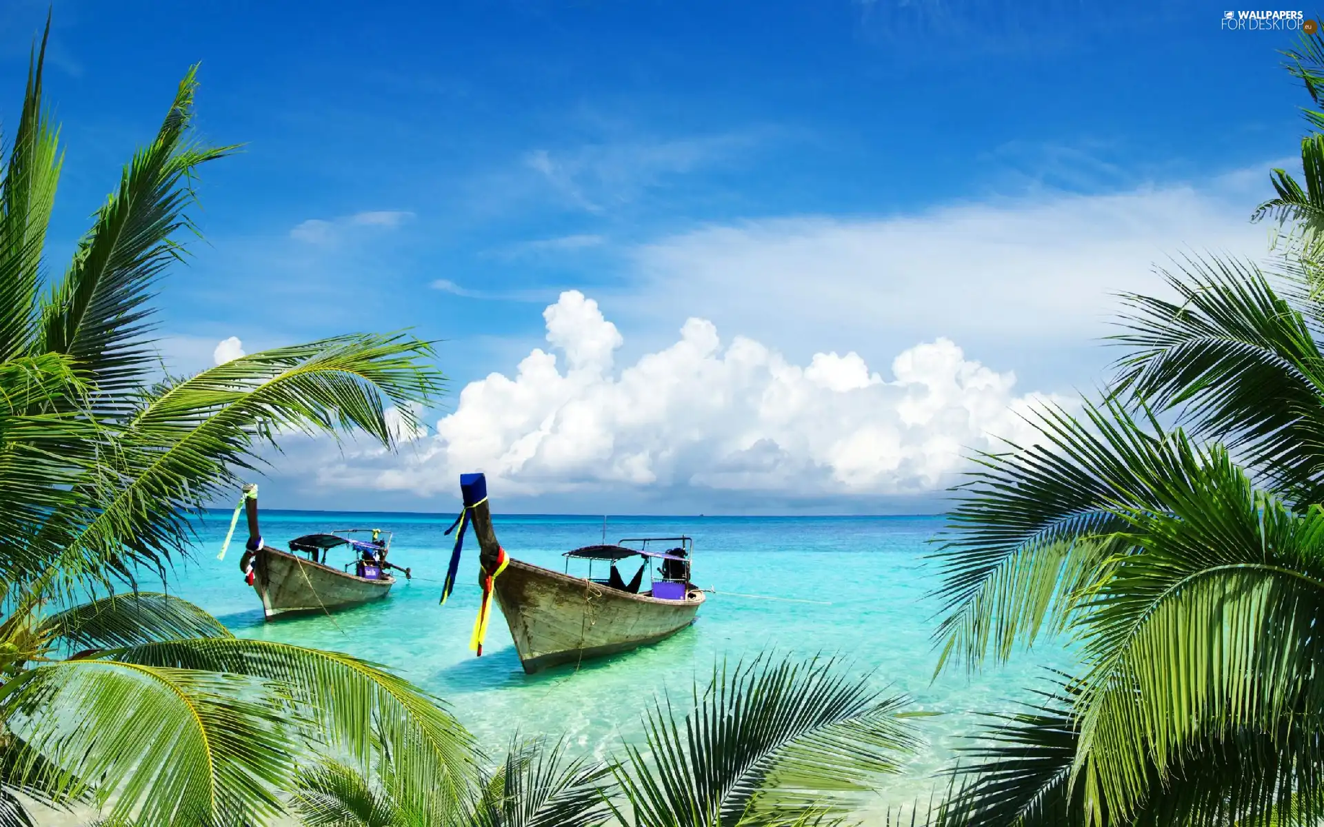 Two, boats, Beaches, Palms, sea