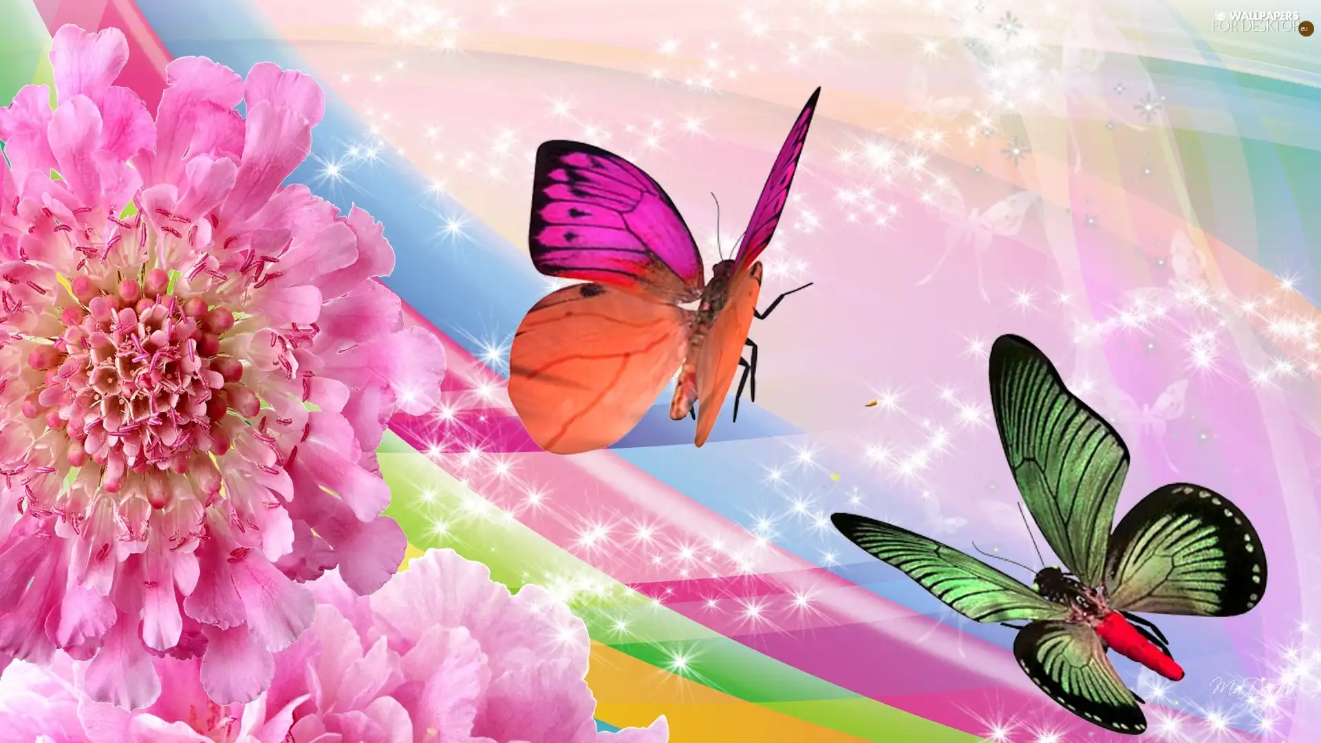butterflies, Colourfull Flowers, Two cars