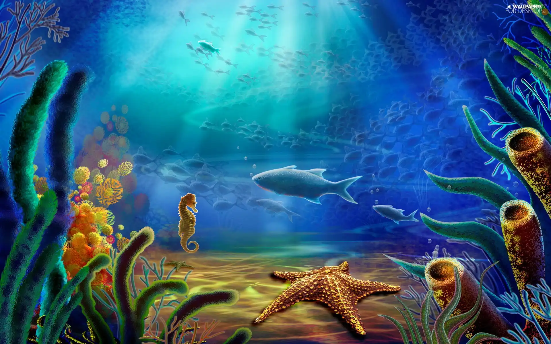 3D, sea-horse, under water, fish