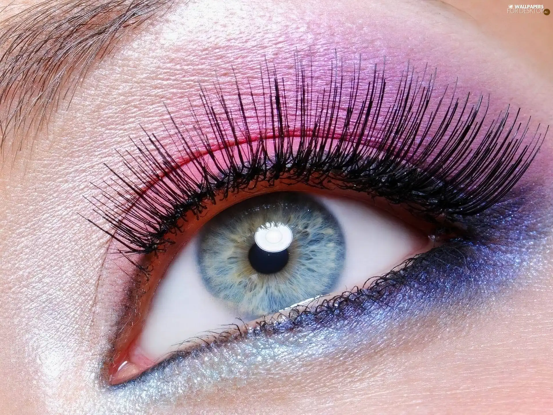 eye, make-up