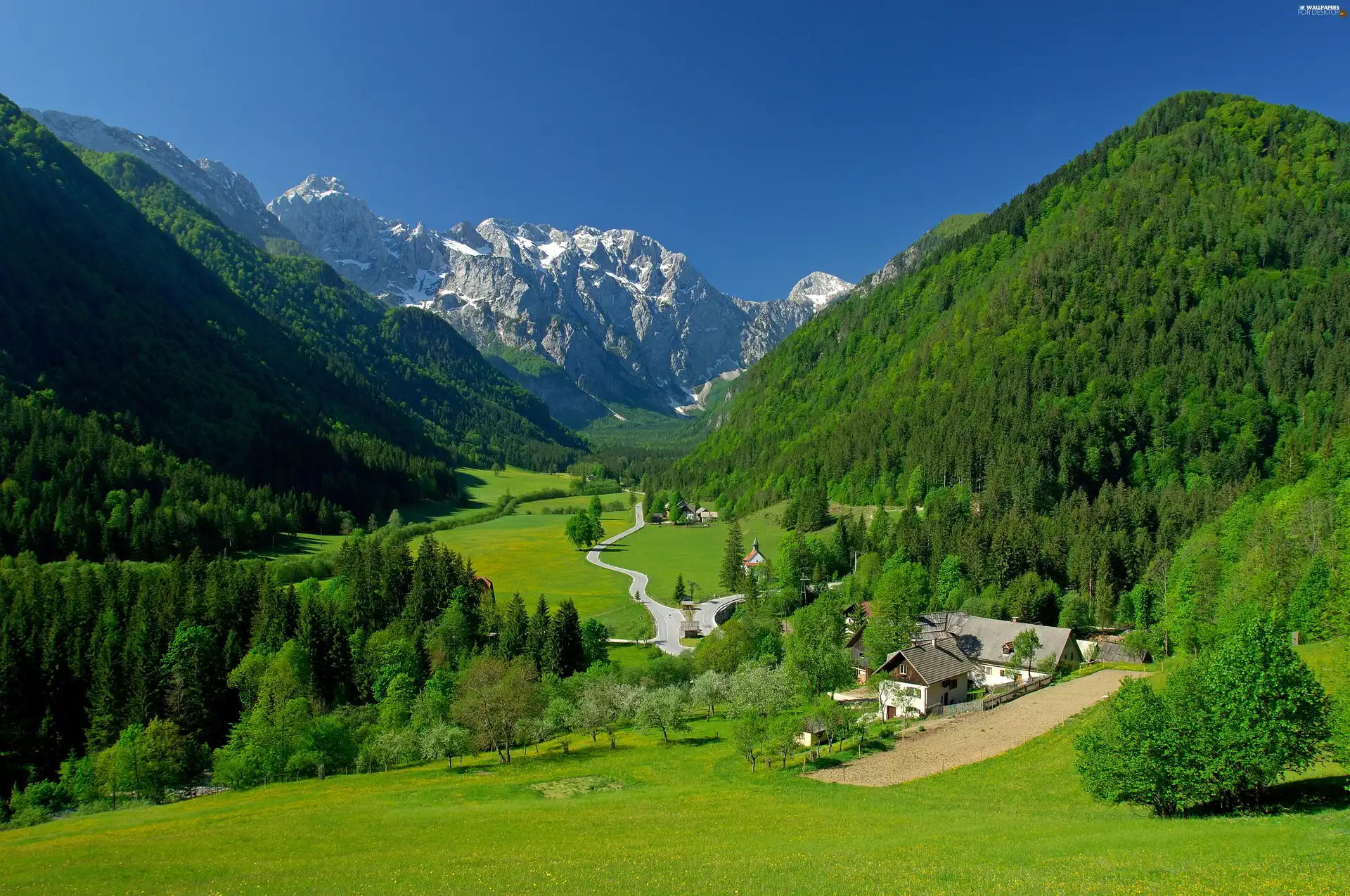 Valley, village, woods, medows, Mountains