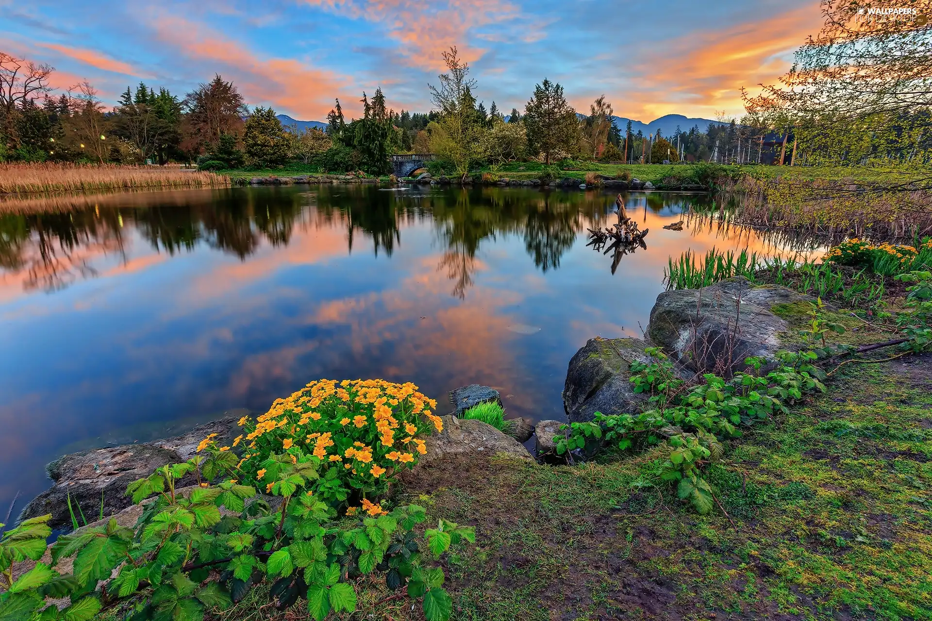 Stanley Park, City Park, lake, trees, Vancouver, Canada, Flowers, clouds, viewes