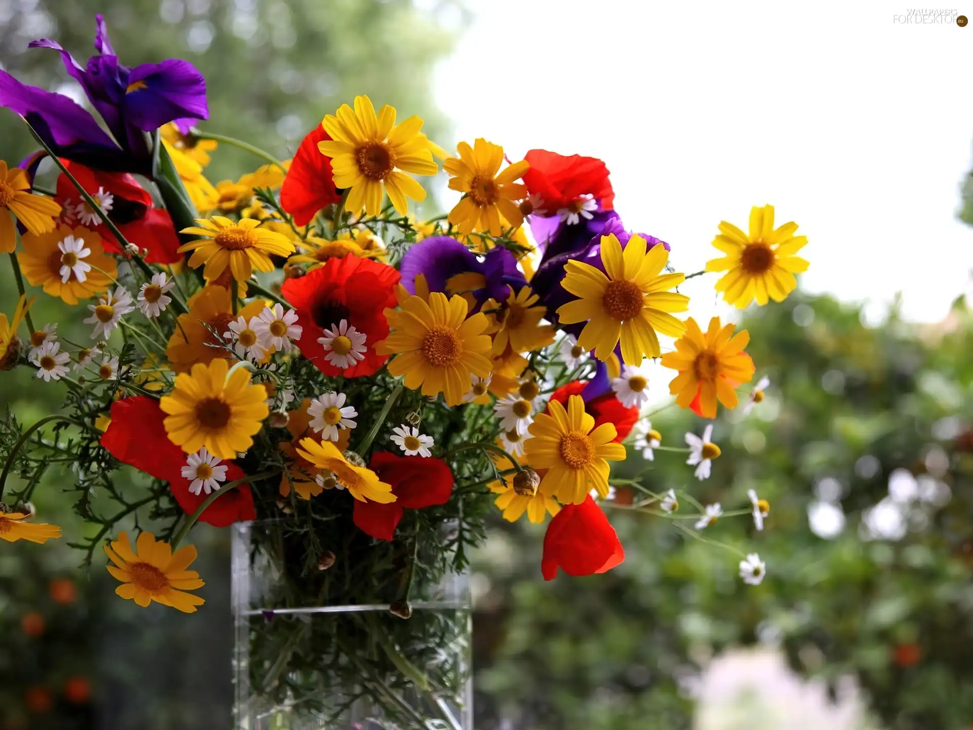 bouquet, flowers, Vase, wild