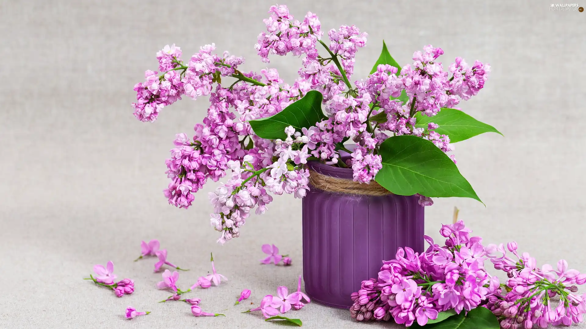 bouquet, Vase, Syringa, without, Flowers