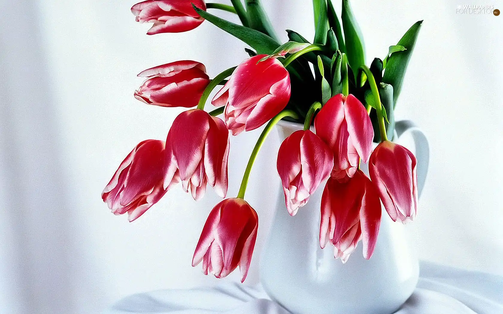 Vase, bouquet, tulips