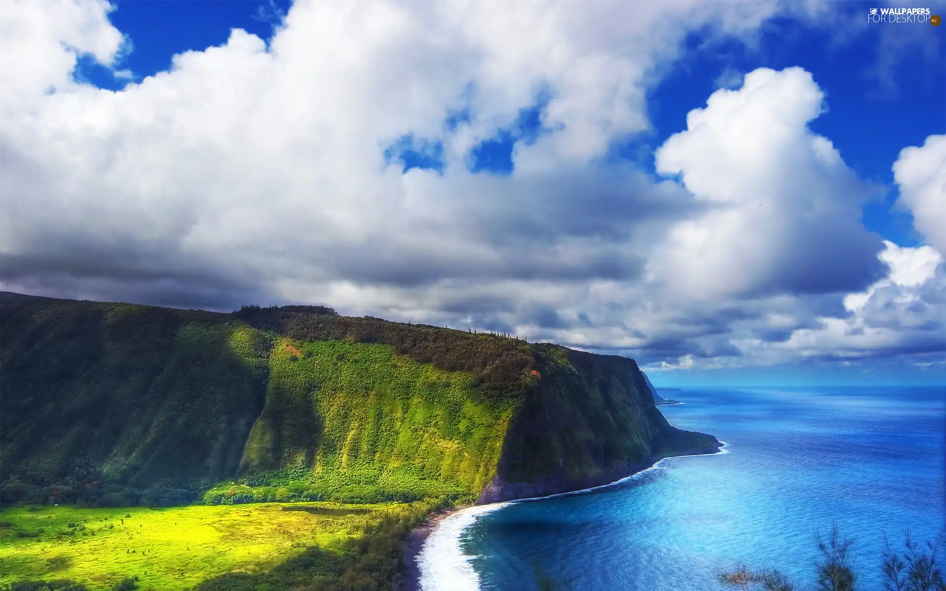 Cliffs, clouds, VEGETATION, sea