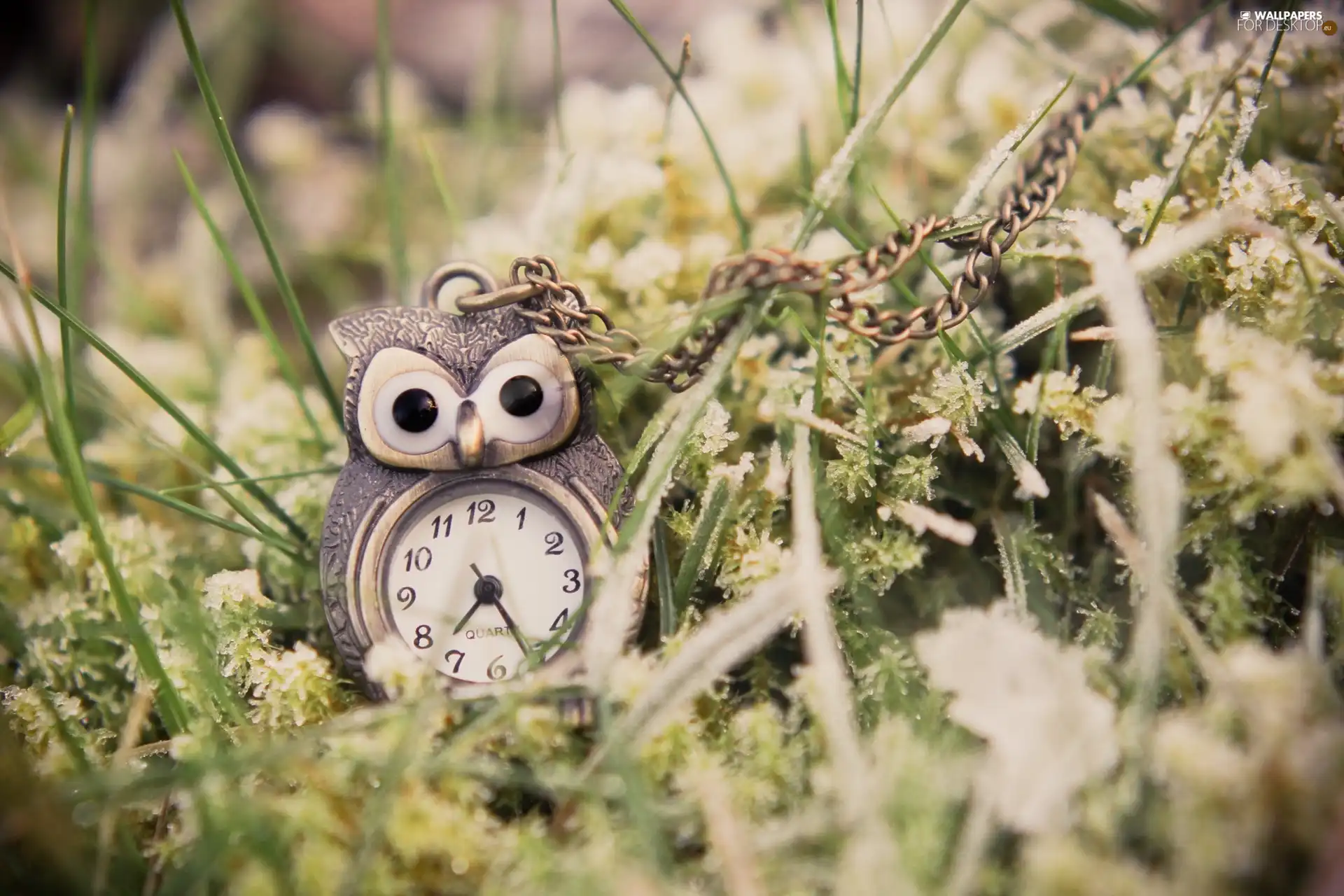 Clock, VEGETATION