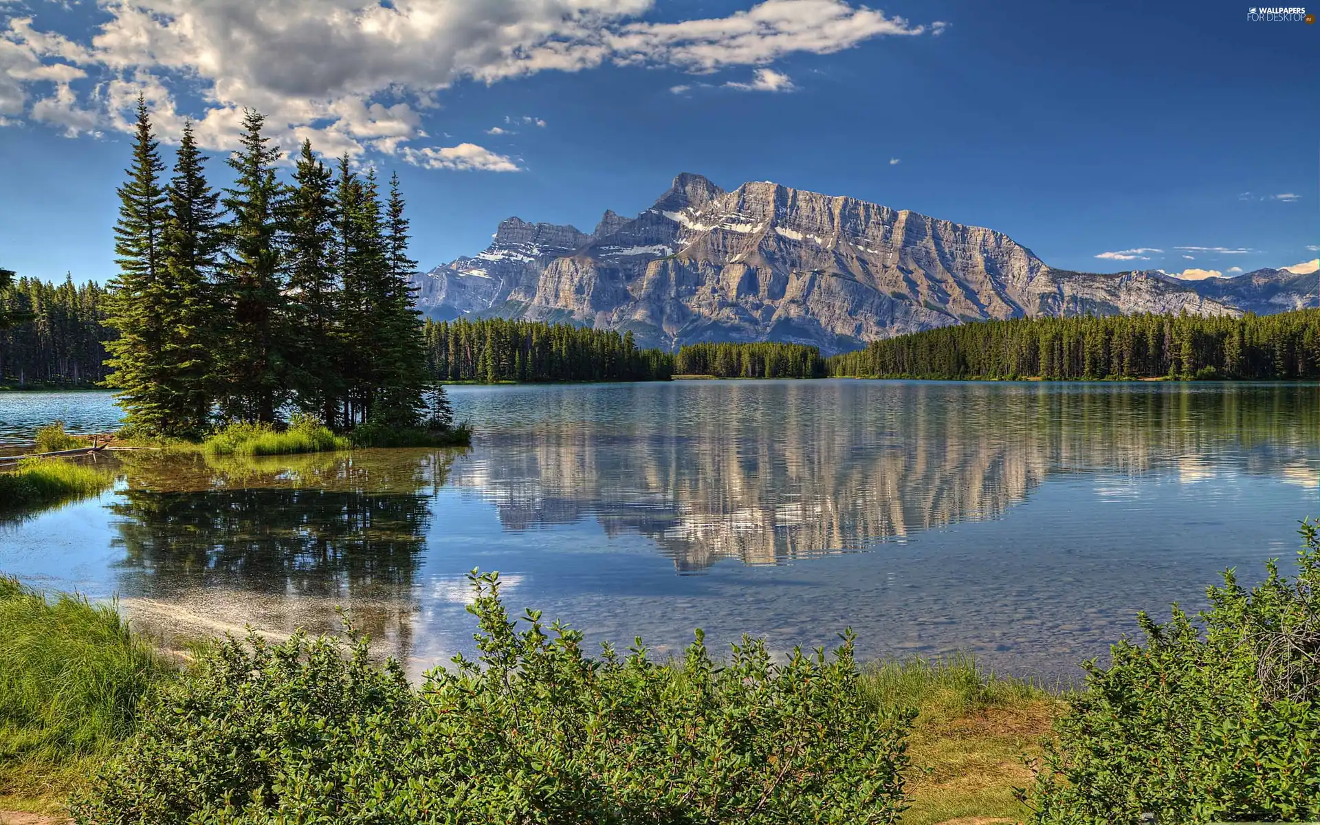 VEGETATION, clouds, lake, forest, Mountains