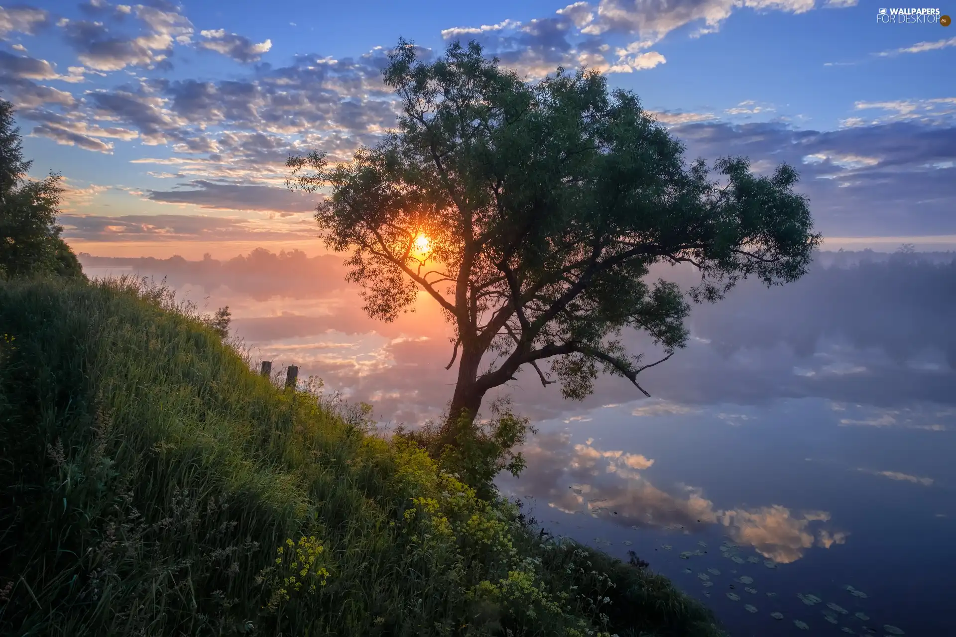 Sunrise, trees, clouds, VEGETATION, River, Fog, reflection