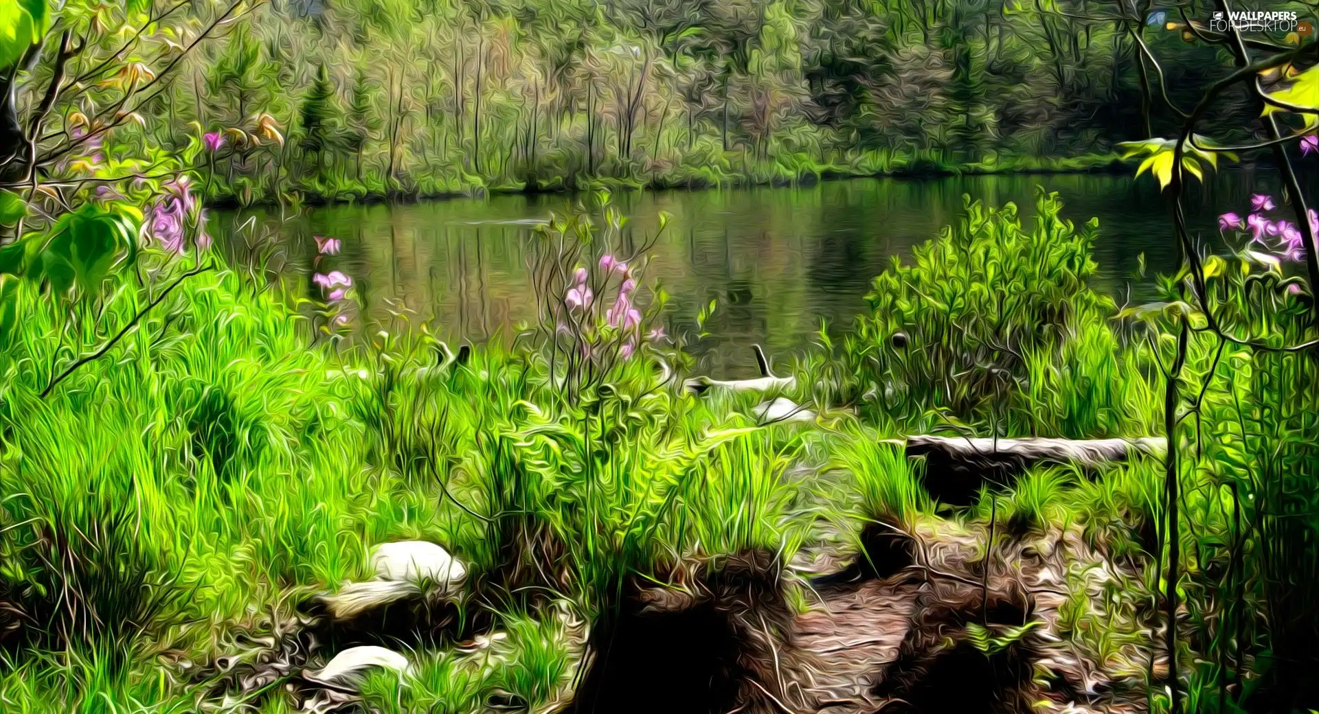 VEGETATION, lake, Flowers