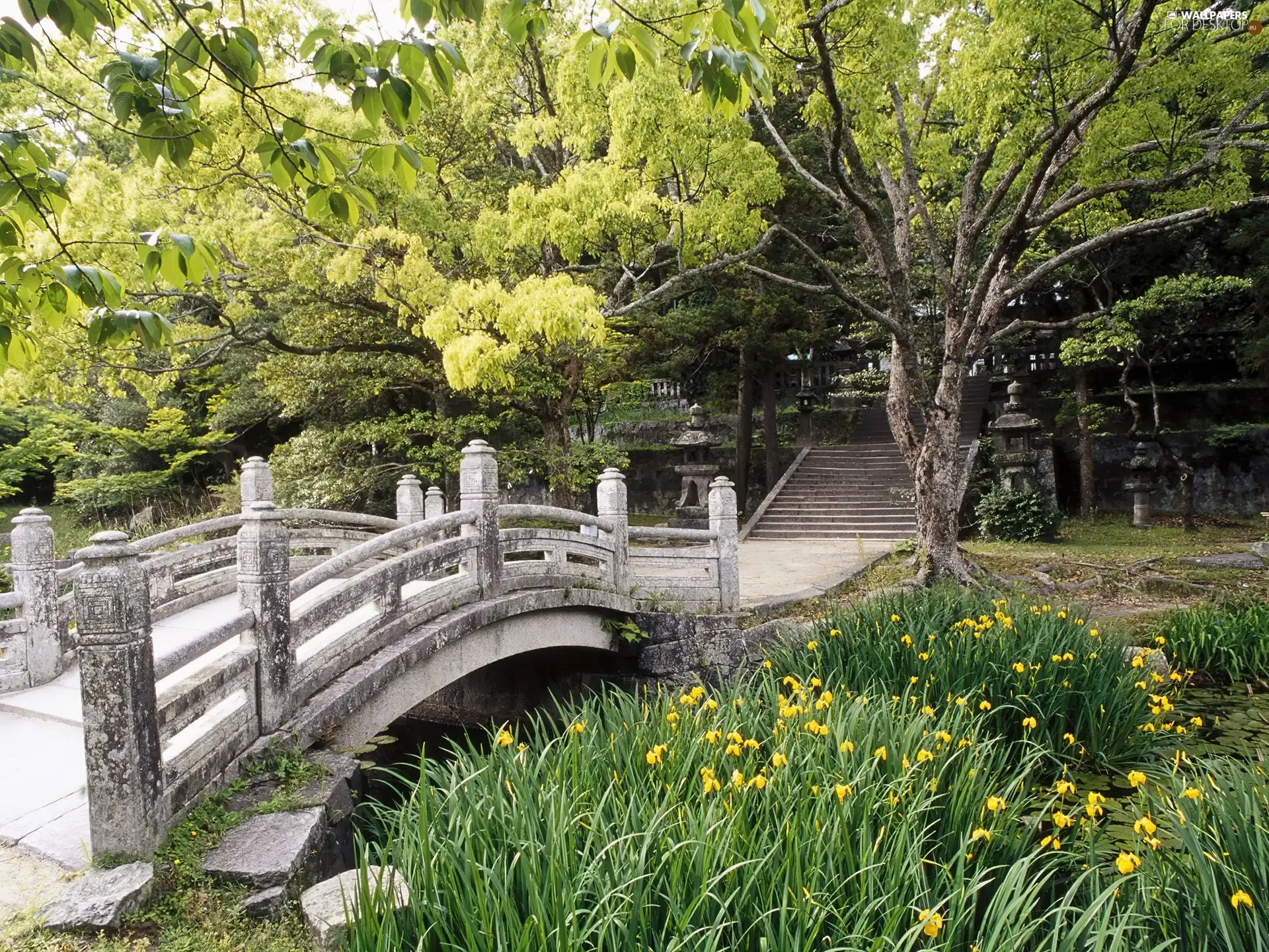 VEGETATION, Japan, japanese, bridges, Garden