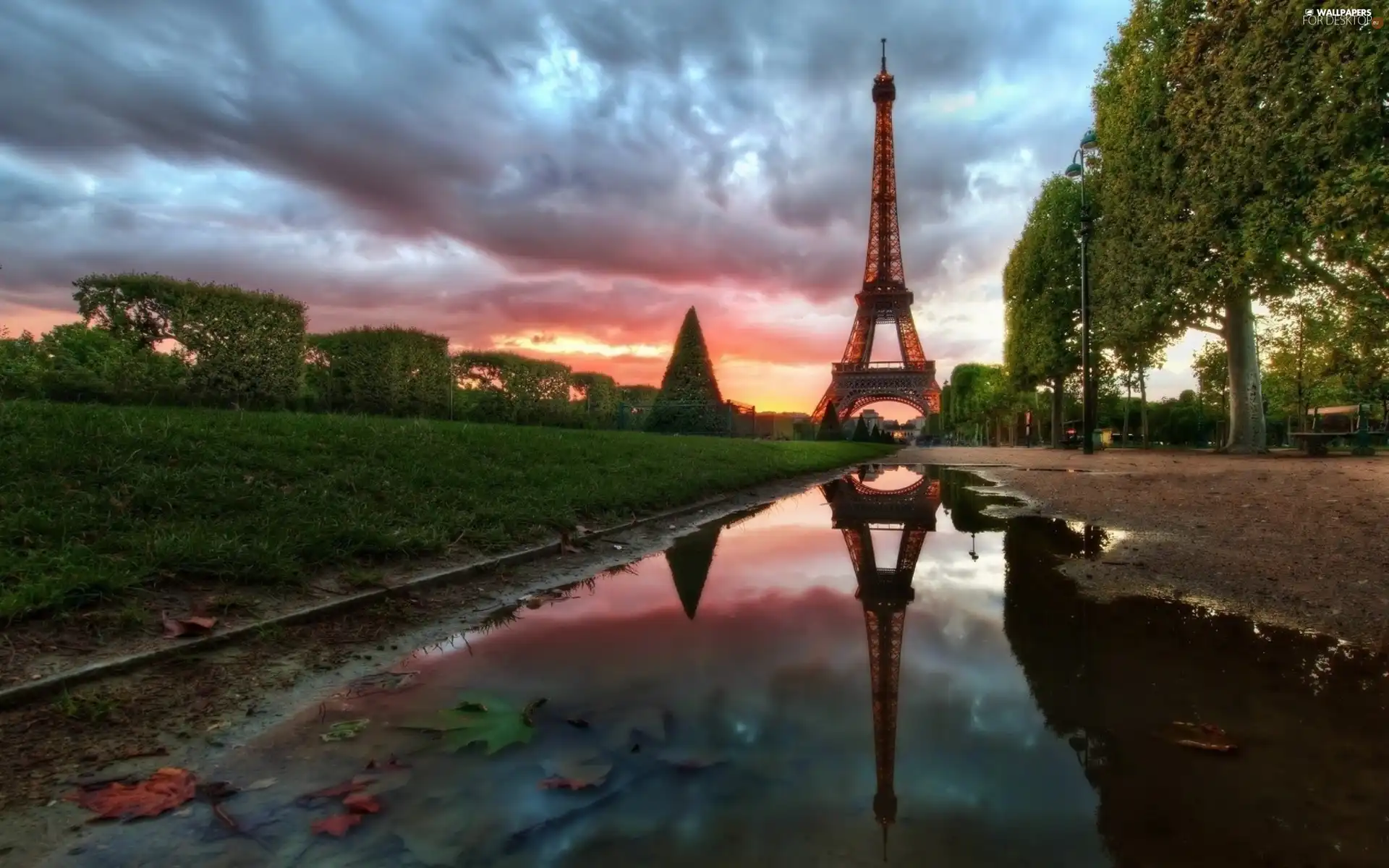 VEGETATION, puddle, tower, Eiffla, Paris