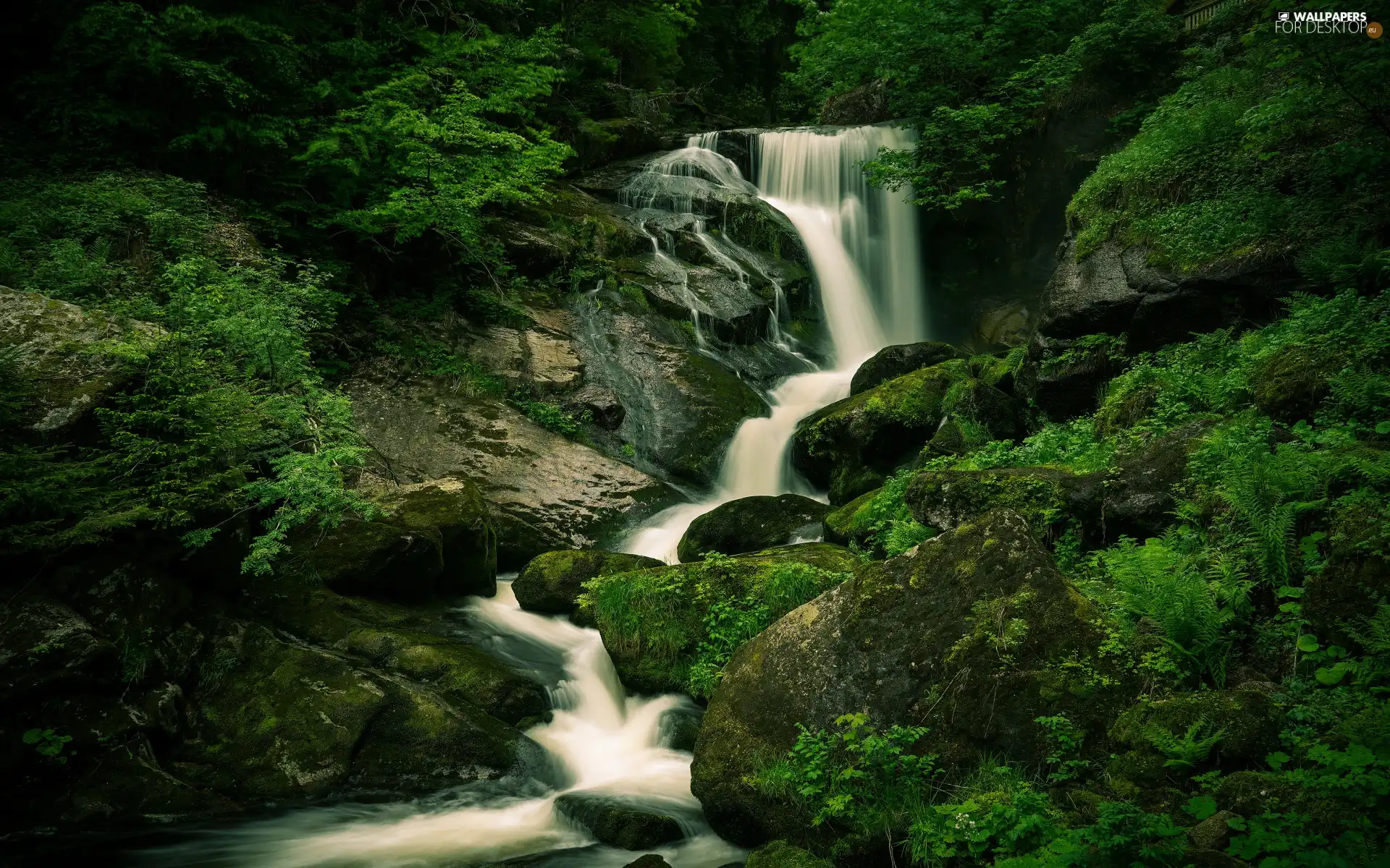 Stones, waterfall, Green, VEGETATION, Bush, rocks