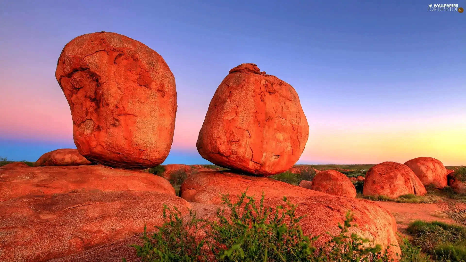 VEGETATION, Red, rocks