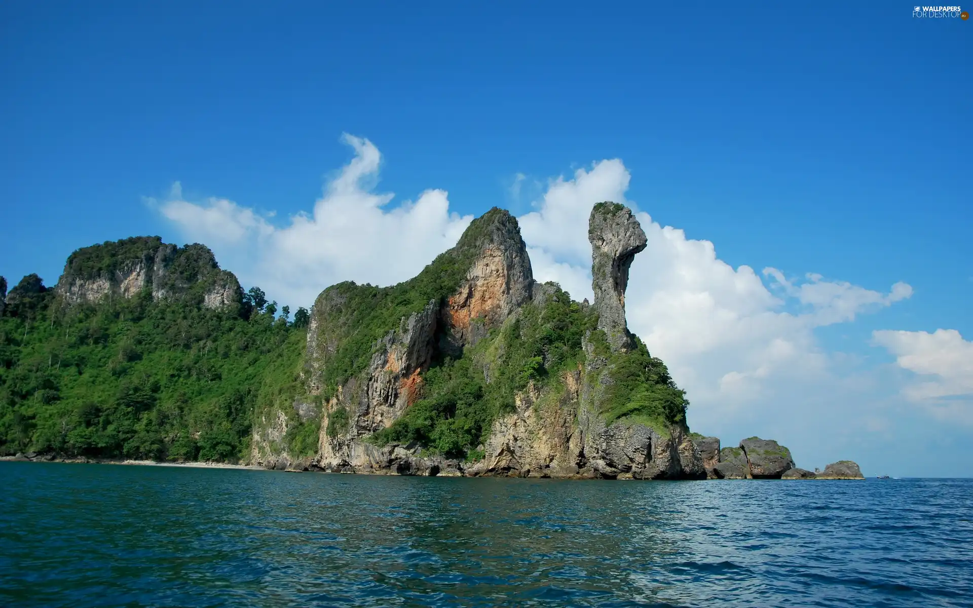 VEGETATION, sea, rocks