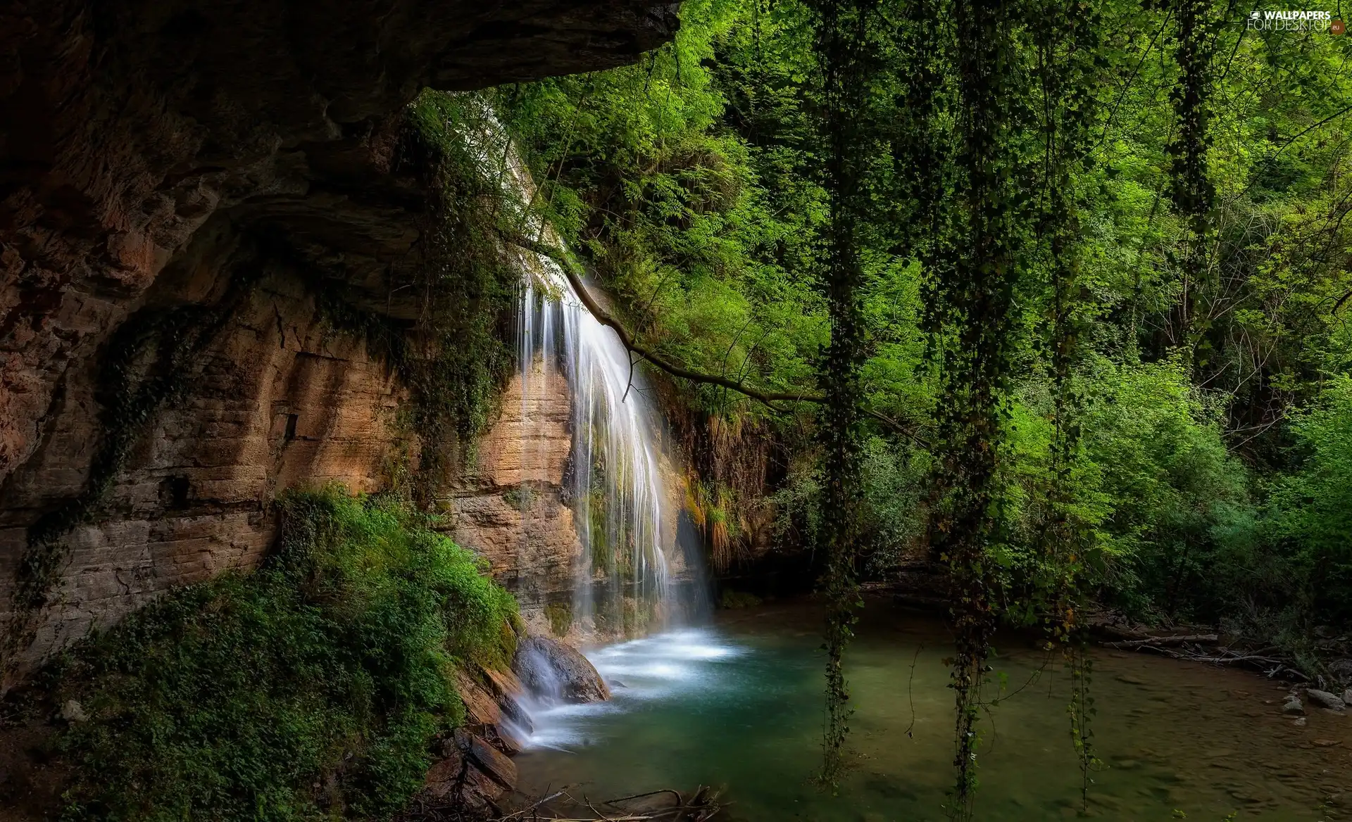 VEGETATION, waterfall, rocks