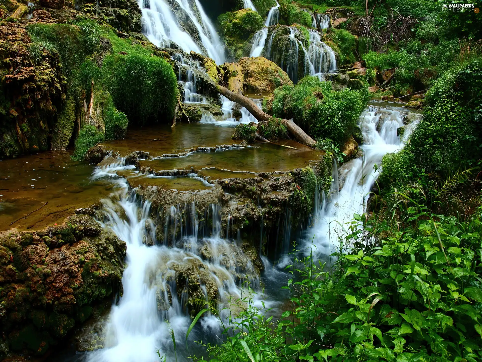 VEGETATION, waterfall, water