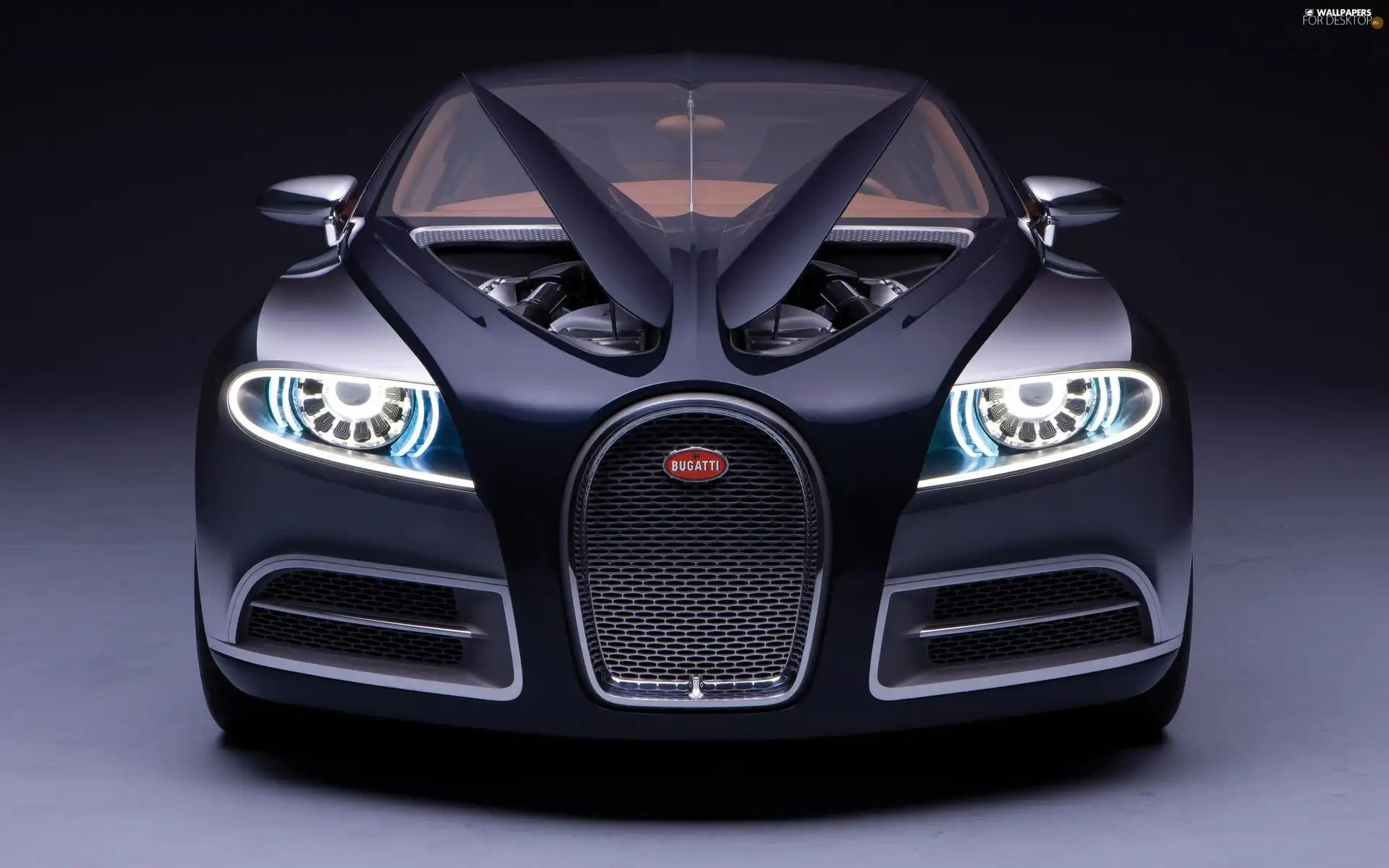 Veyron, Black, Bugatti