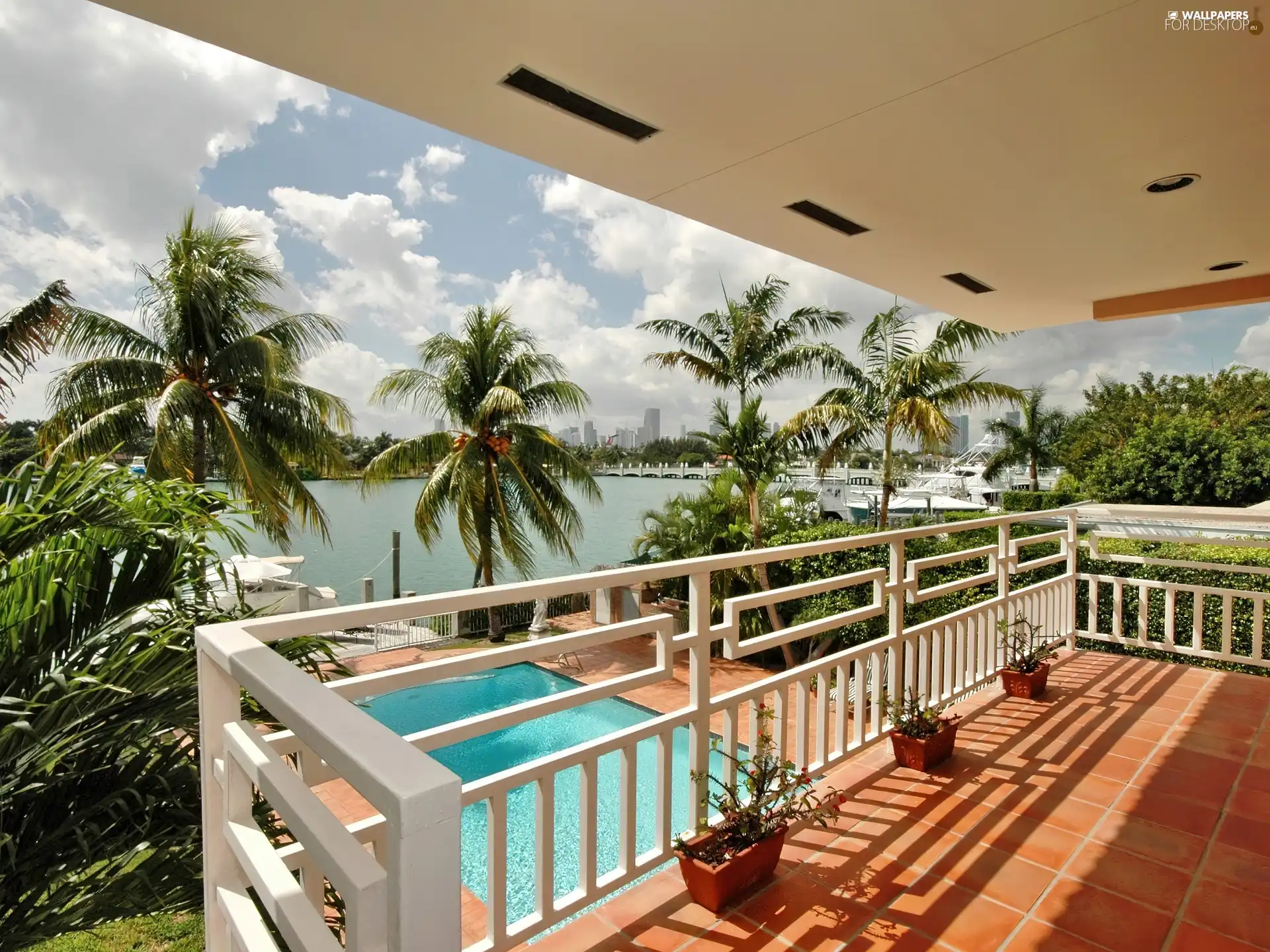 View, Balcony, Palms