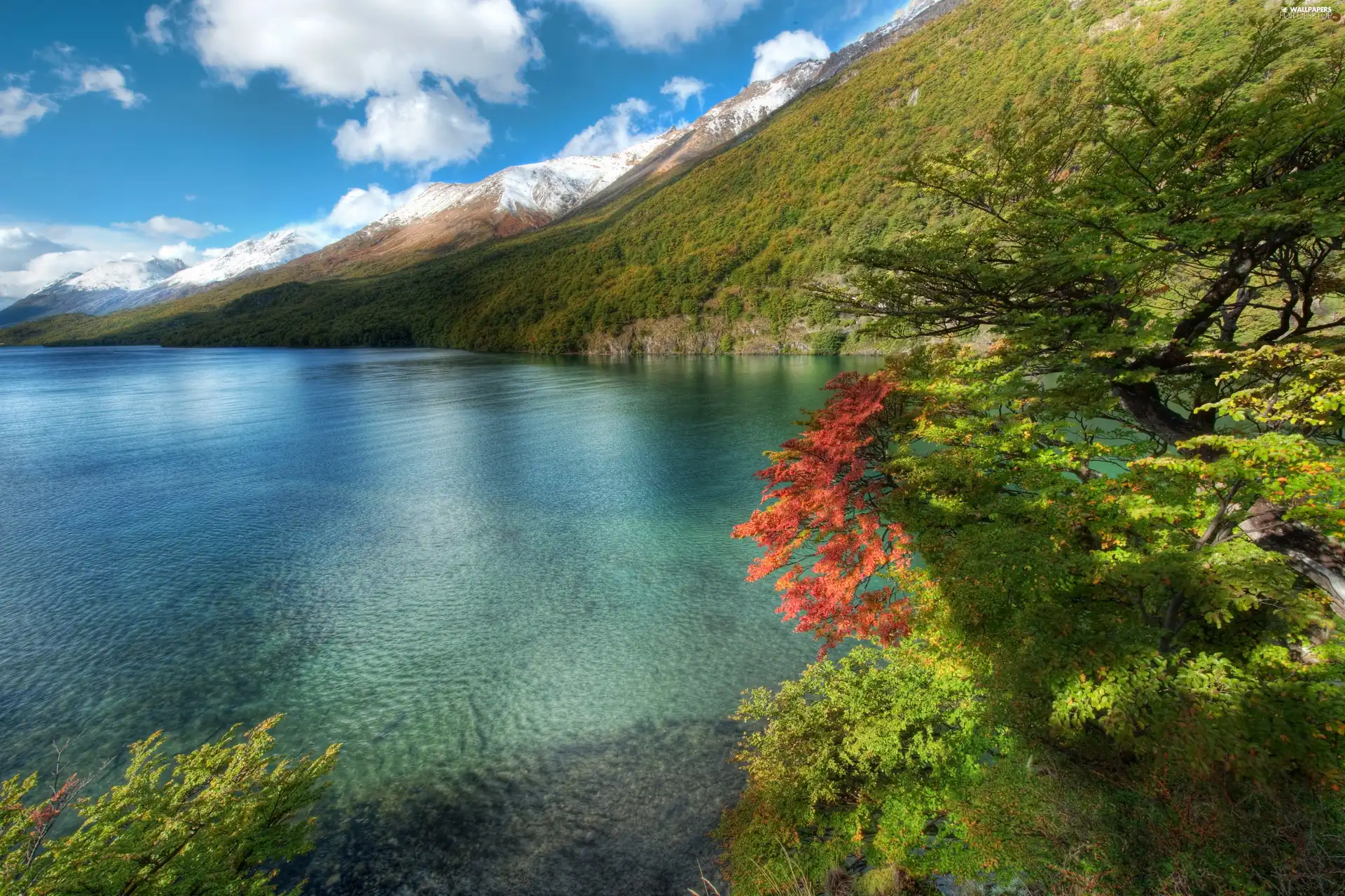 viewes, Argentina, Mountains, trees, lake