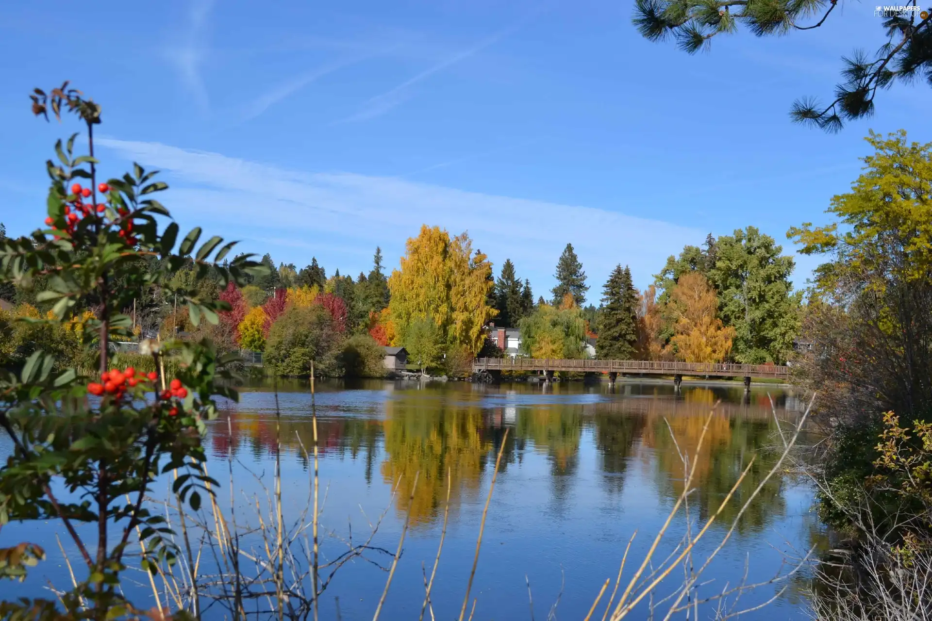 viewes, autumn, bridge, trees, lake